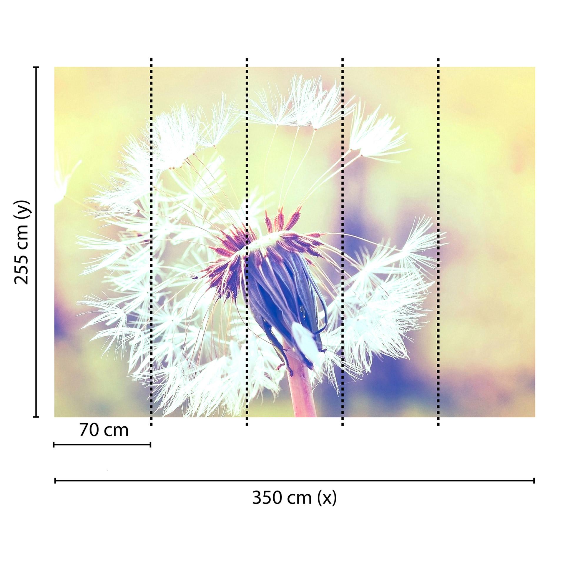 Livingwalls Fotobehang Designwalls Dandelion Flowers