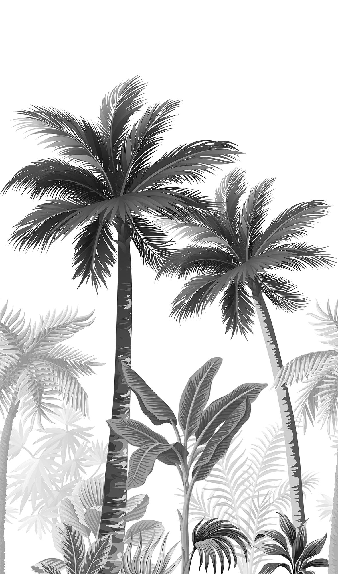 Fotobehang met palmbomen zwart, wit,Bloemen 2,70 x 1,59 m