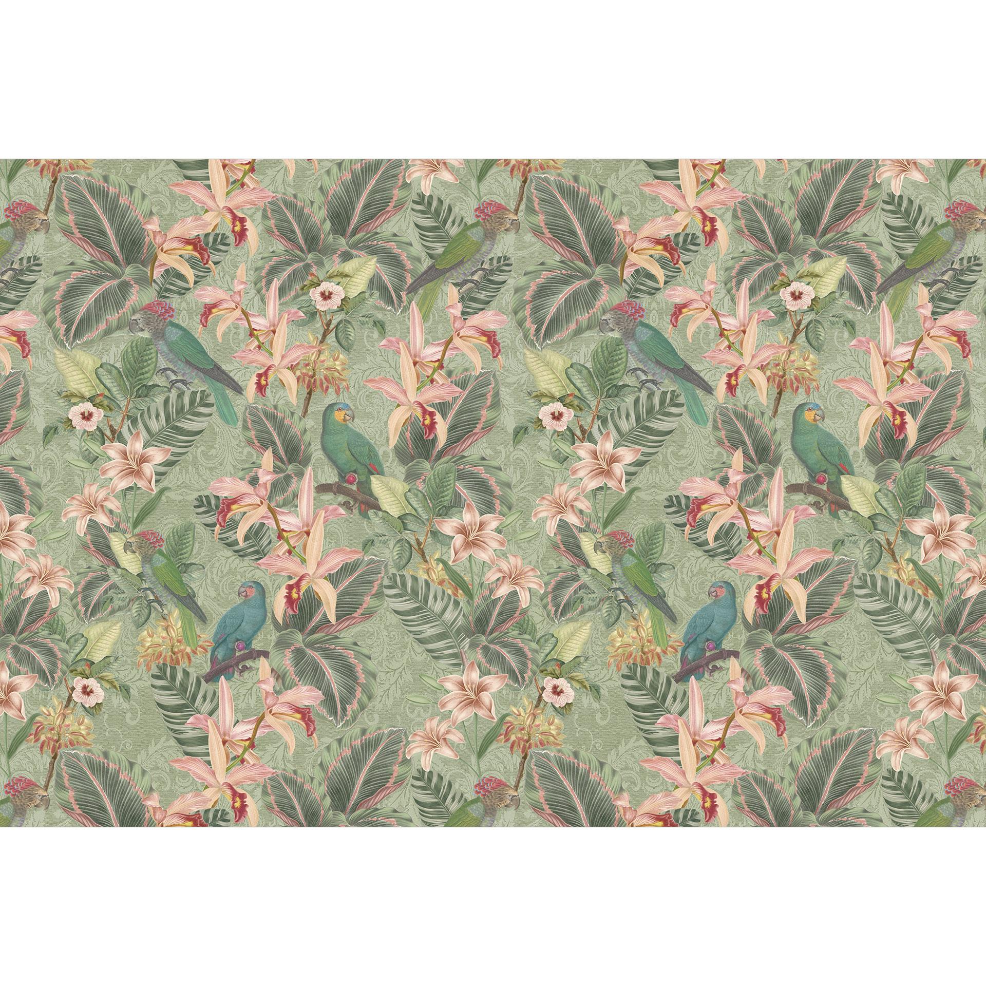 Jungle met papegaaien groen | Fotobehang - Bloomery Decor