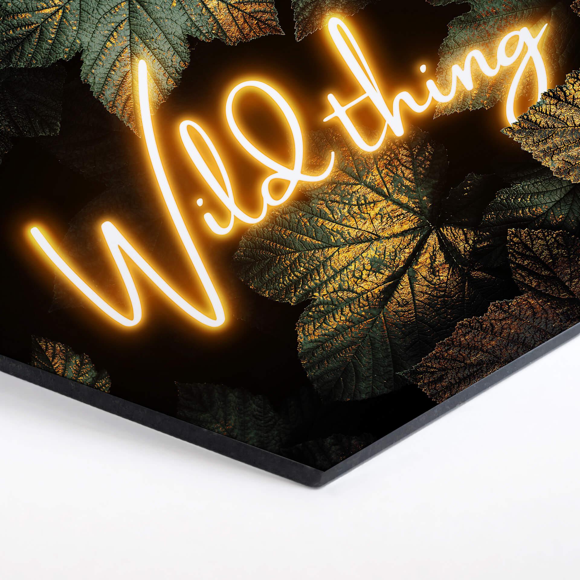 Hexagon - Alu-Dibond Fredriksson - Wild thing