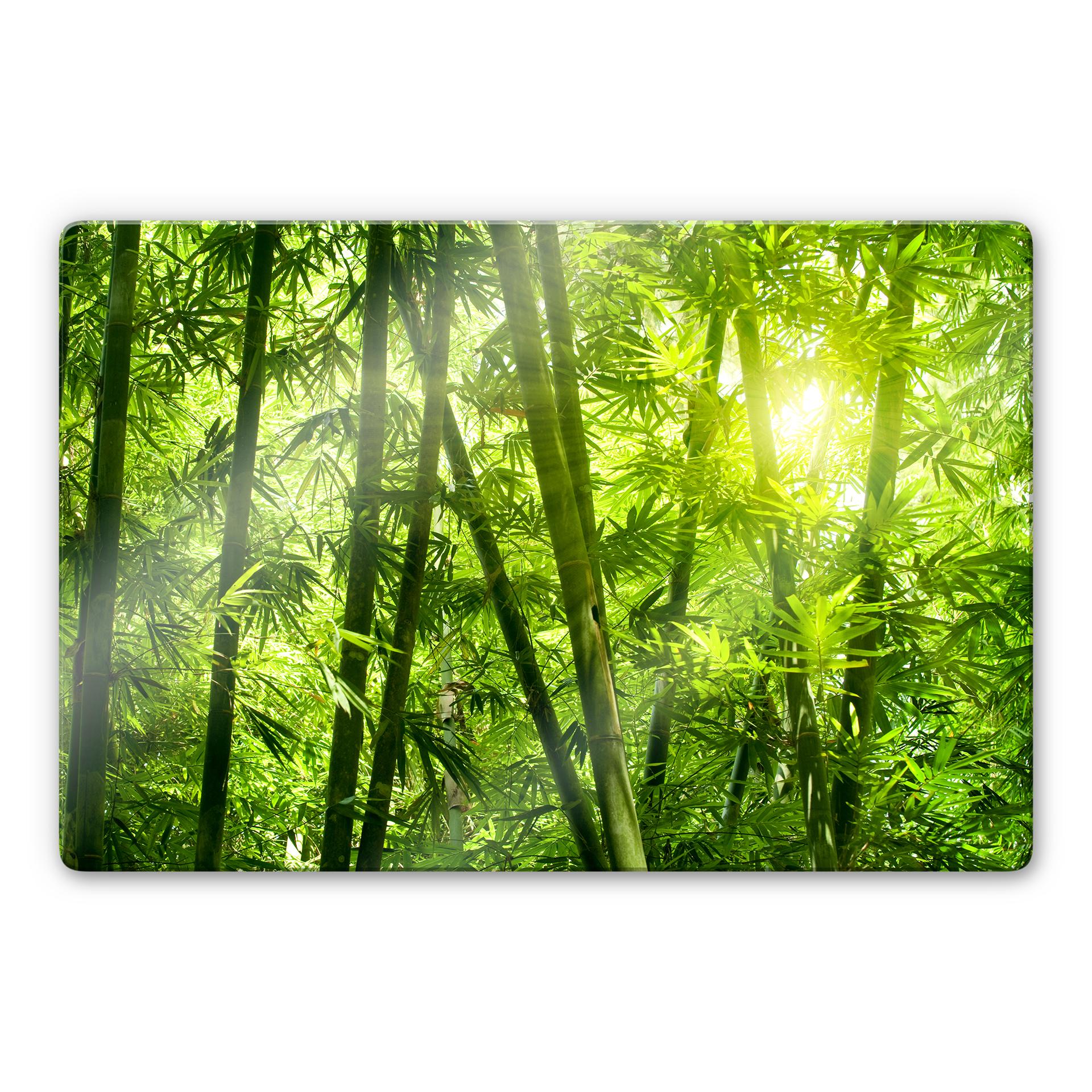Tableau en verre - Rayon de soleil dans la forêt de bambou