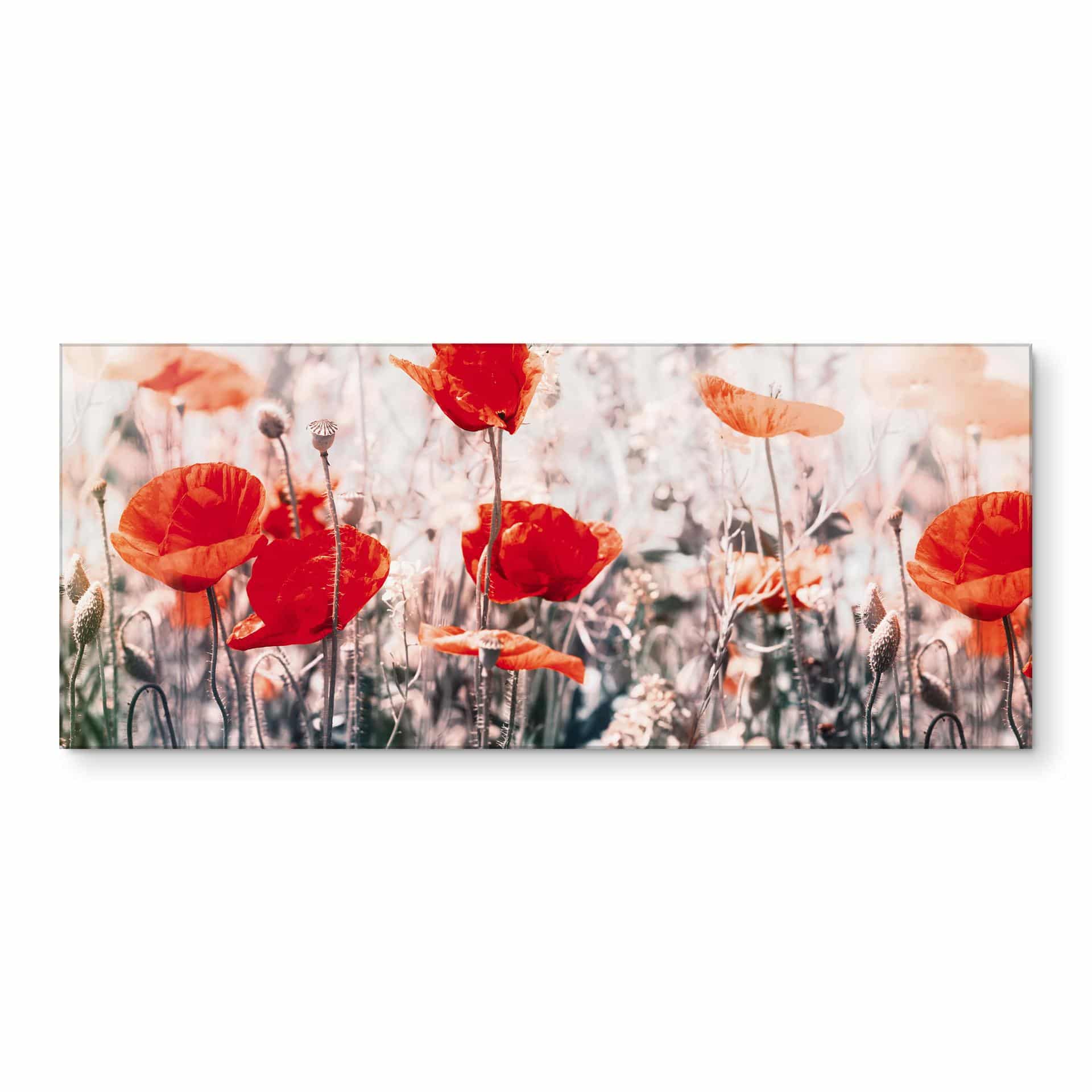 Keukenachterwand Red Poppies
