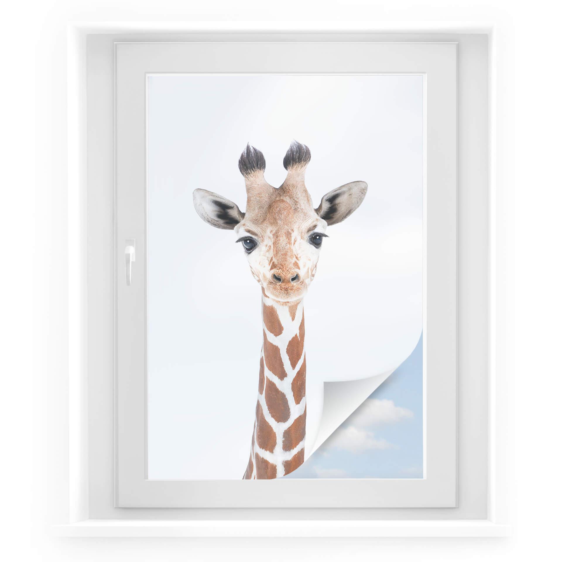 Sekretessfilm Sisi & Seb - Baby giraff