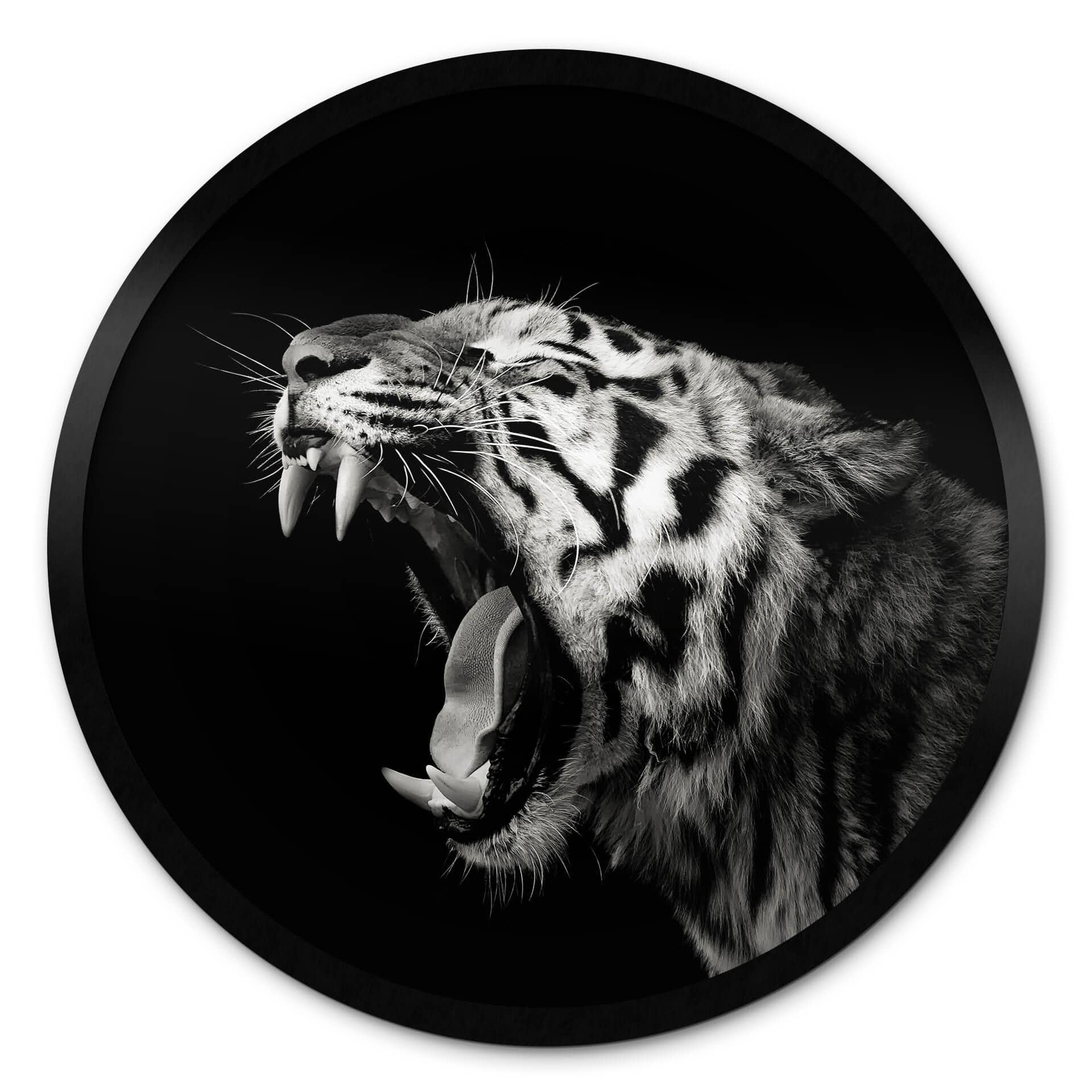 Plakat Meermann - Tiger