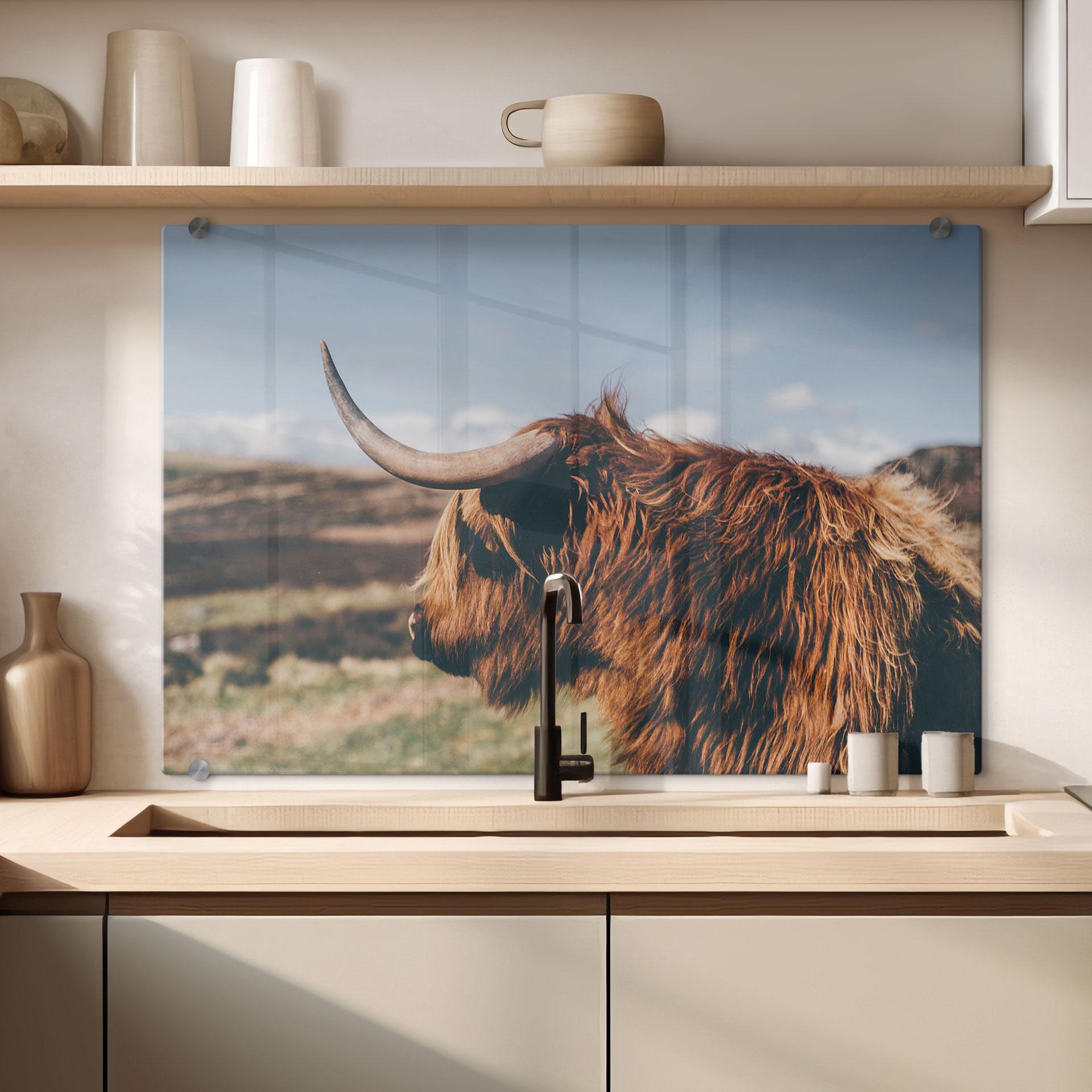 Stænkplade - Highland cow 02