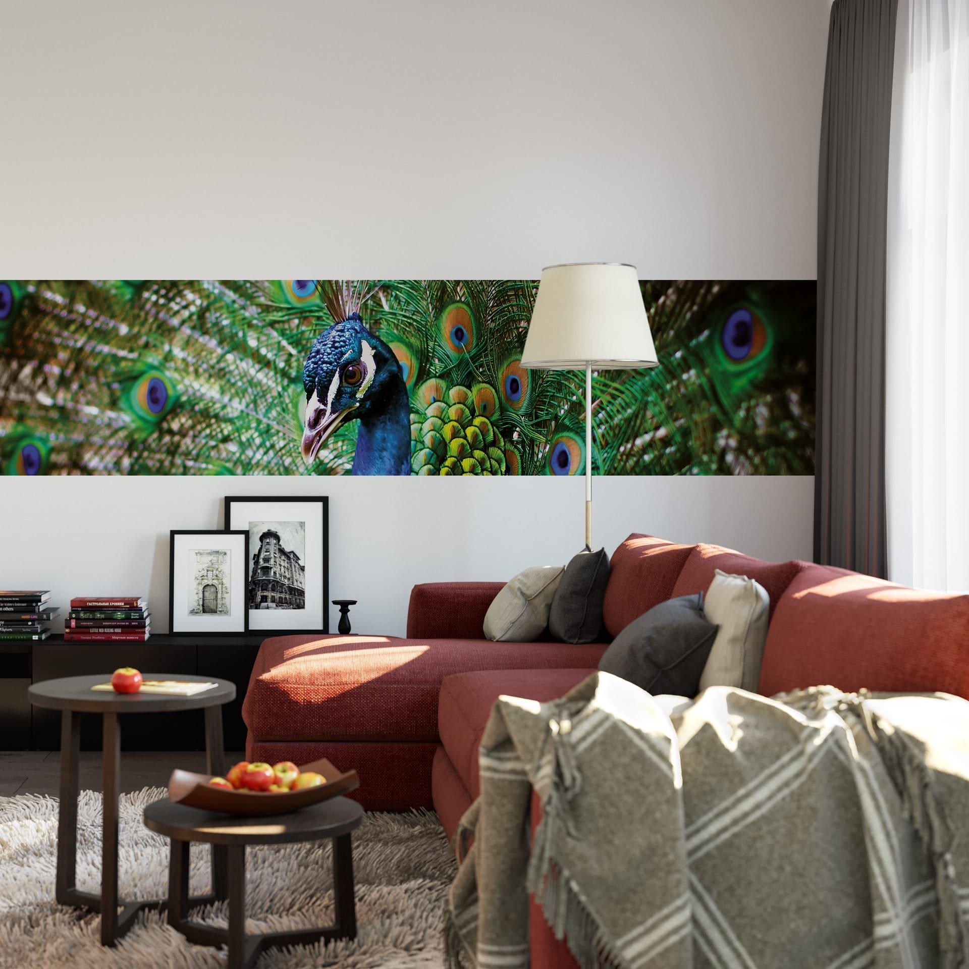 Fototapet Beautiful Peacock - Panorama - 48x260 cm
