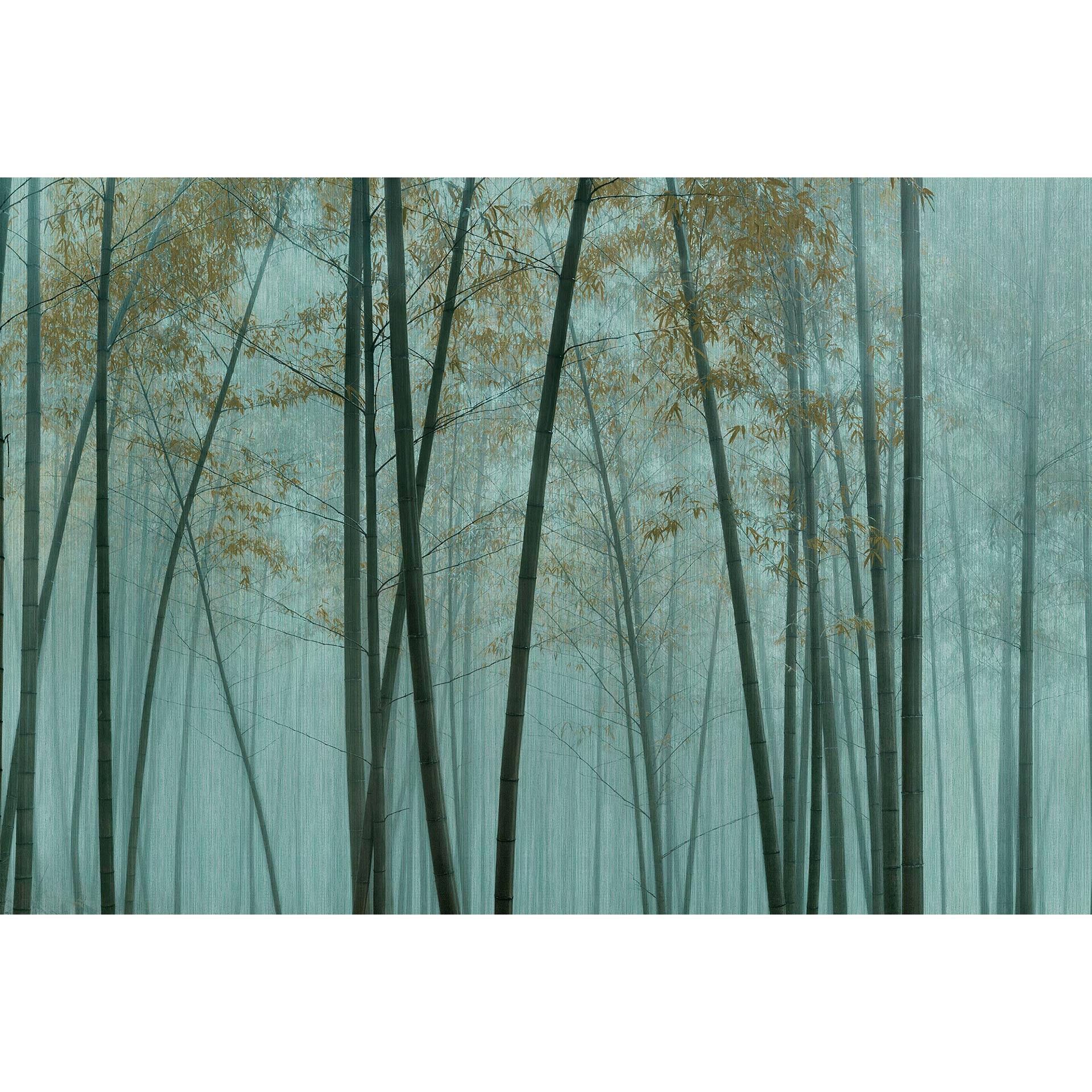 Livingwalls Fotobehang Walls by Patel 3 In the Bamboo