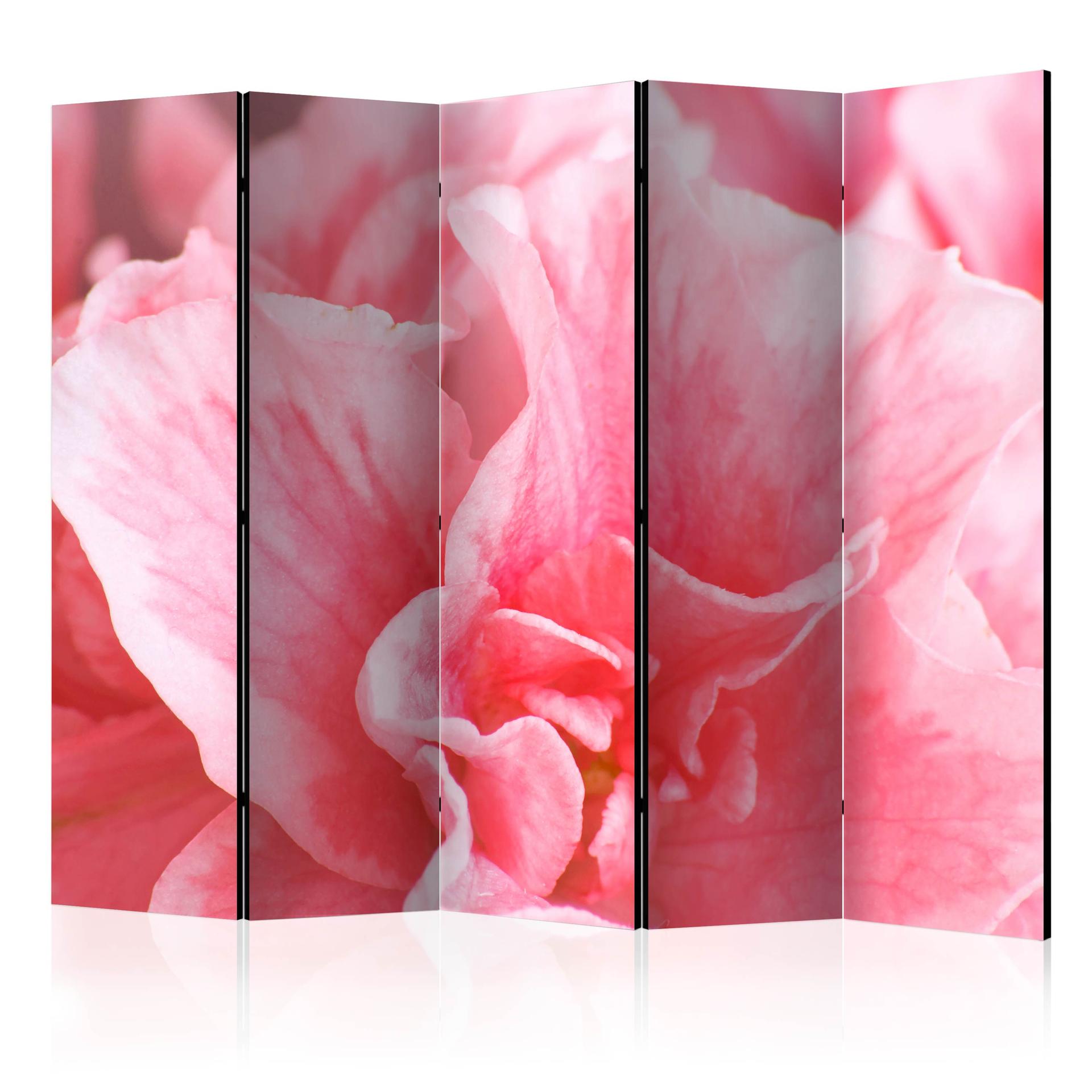 Rumdeler - Lyserøde azalea-blomster , 5-delt - 225x172 cm