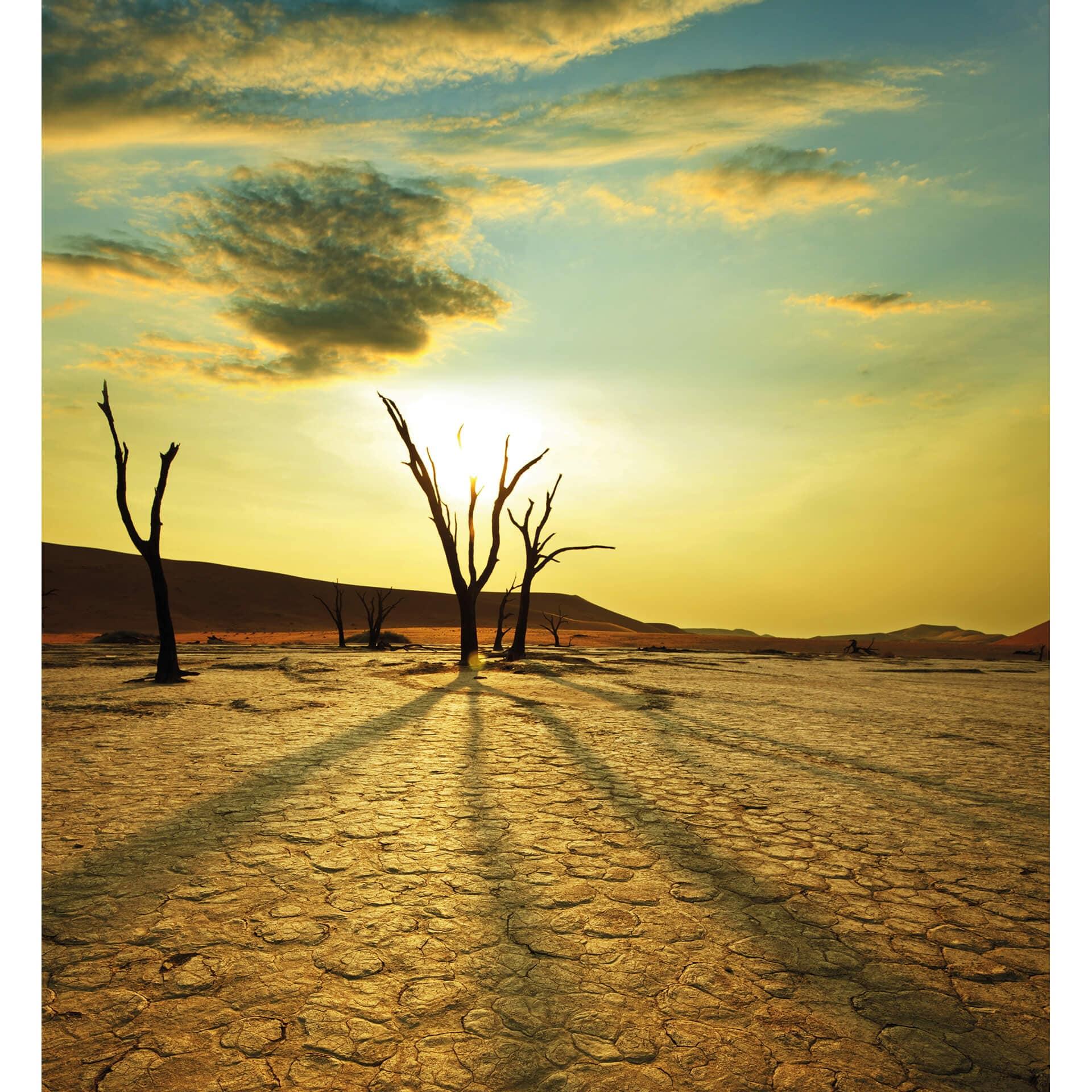 Fototapete Desert Valley - 240x260 cm