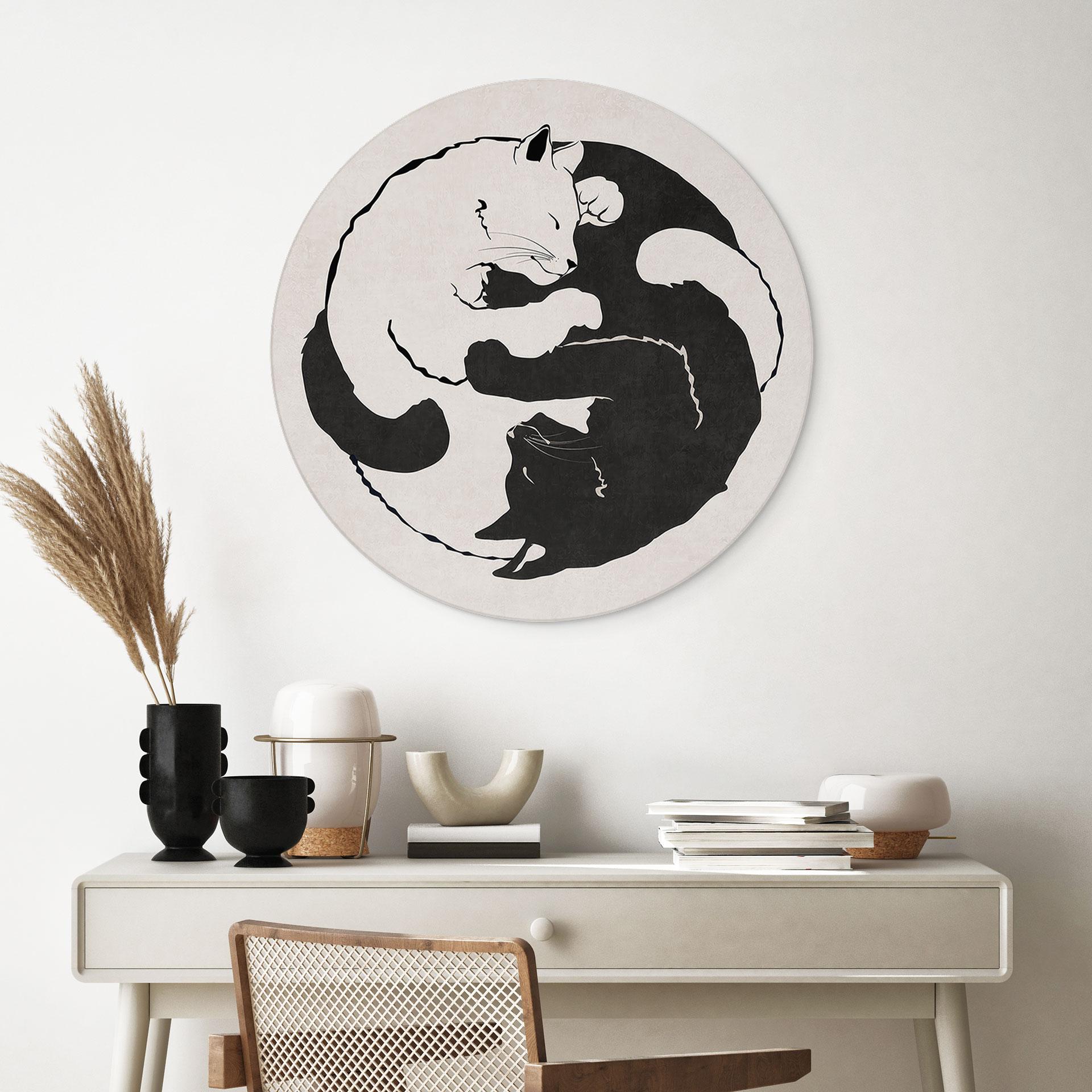 Dibond vægdekoration Katte Ying & Yang - Tunaboylu – print på aluminium (Alu-Dibond)