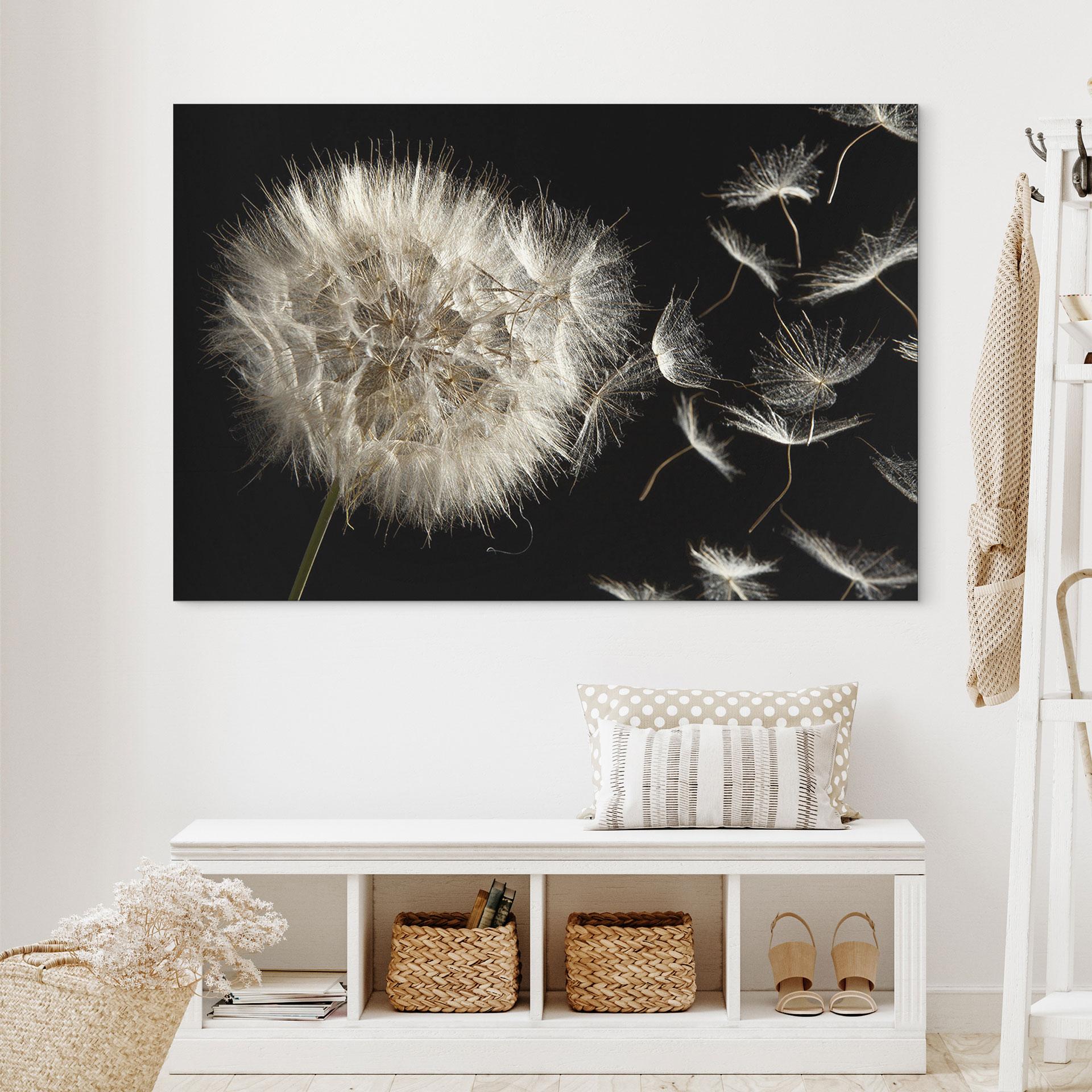 Wandbild Pusteblume - Alu-Dibond
