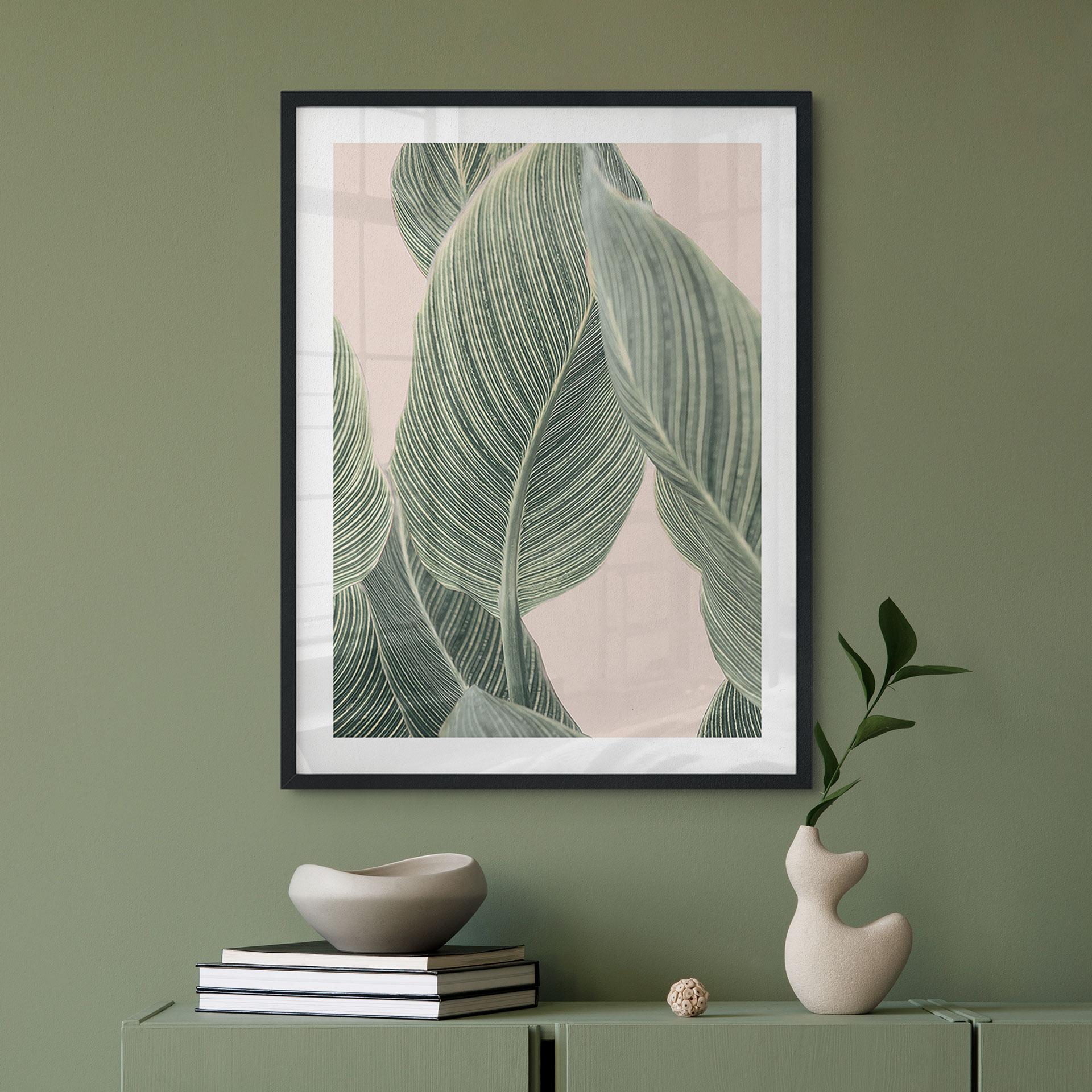 Plakat Calathea-plante - Sisi & Seb