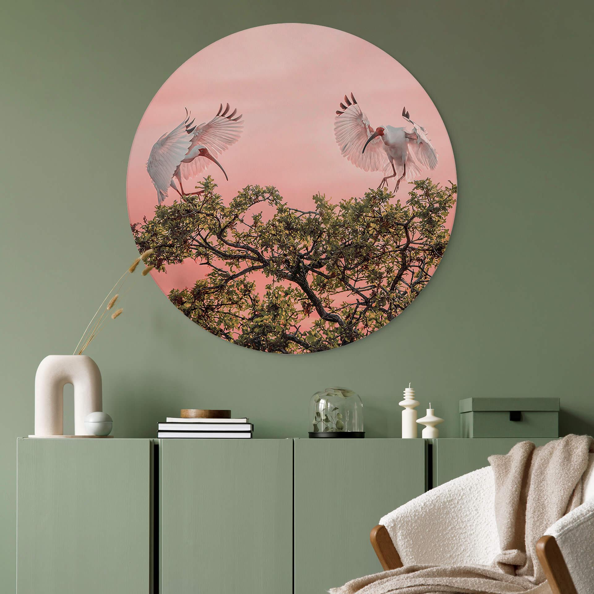Vægcirkel Zhao - Birds at Sunset – print på aluminium (Alu-Dibond)
