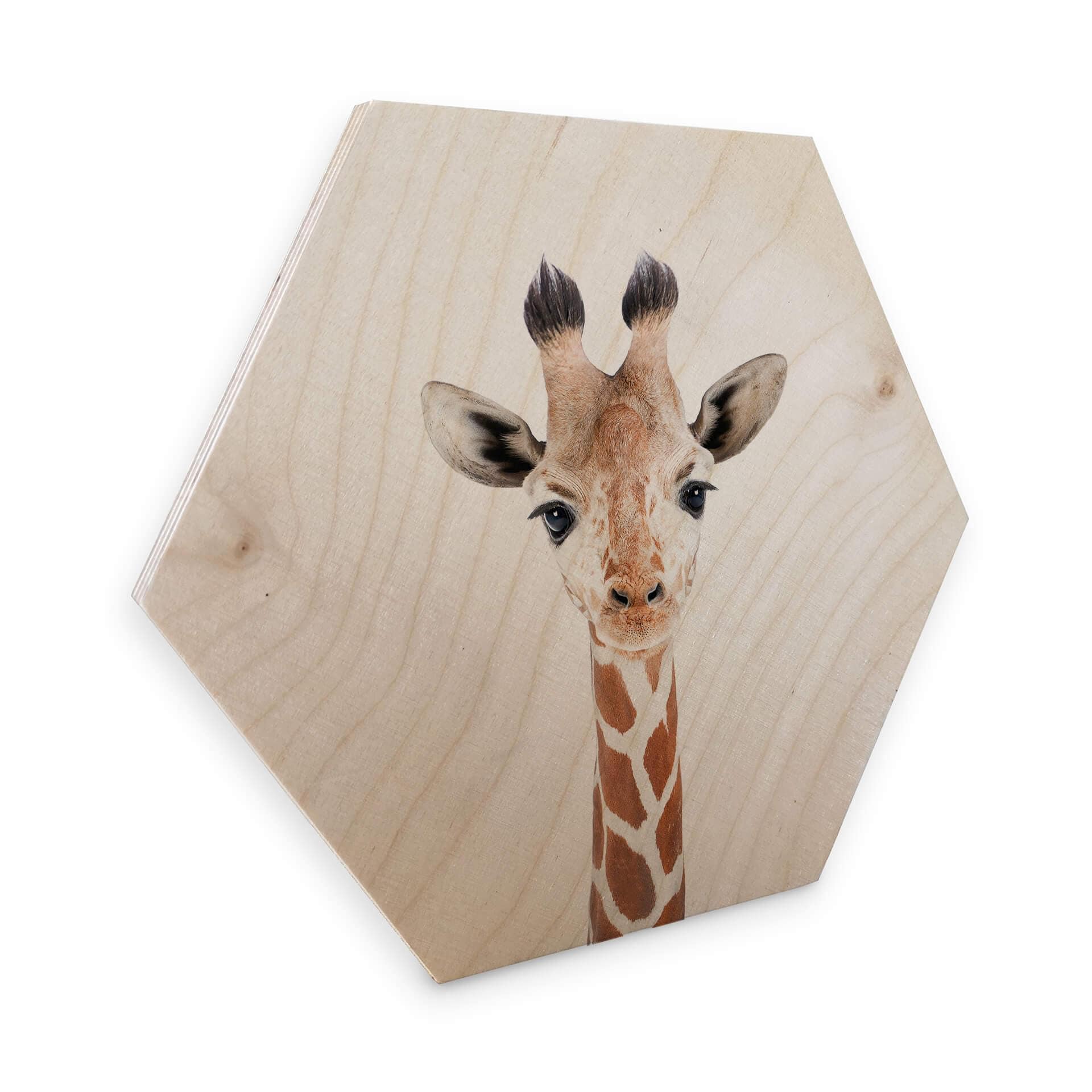 Hexagon Hout Sisi & Seb - Baby Giraffe