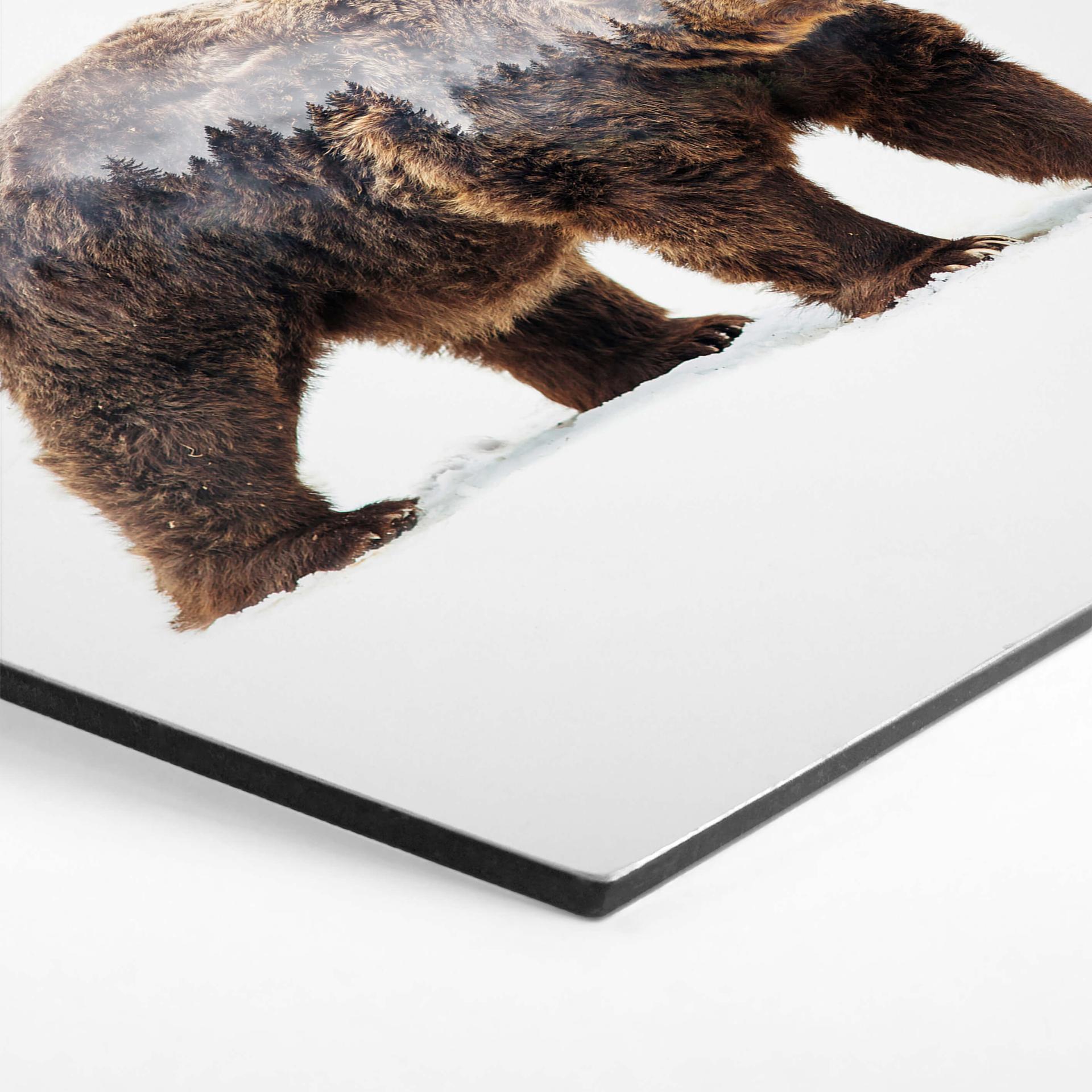 Hexagon - Alu-Dibond - Beáta - The Bear