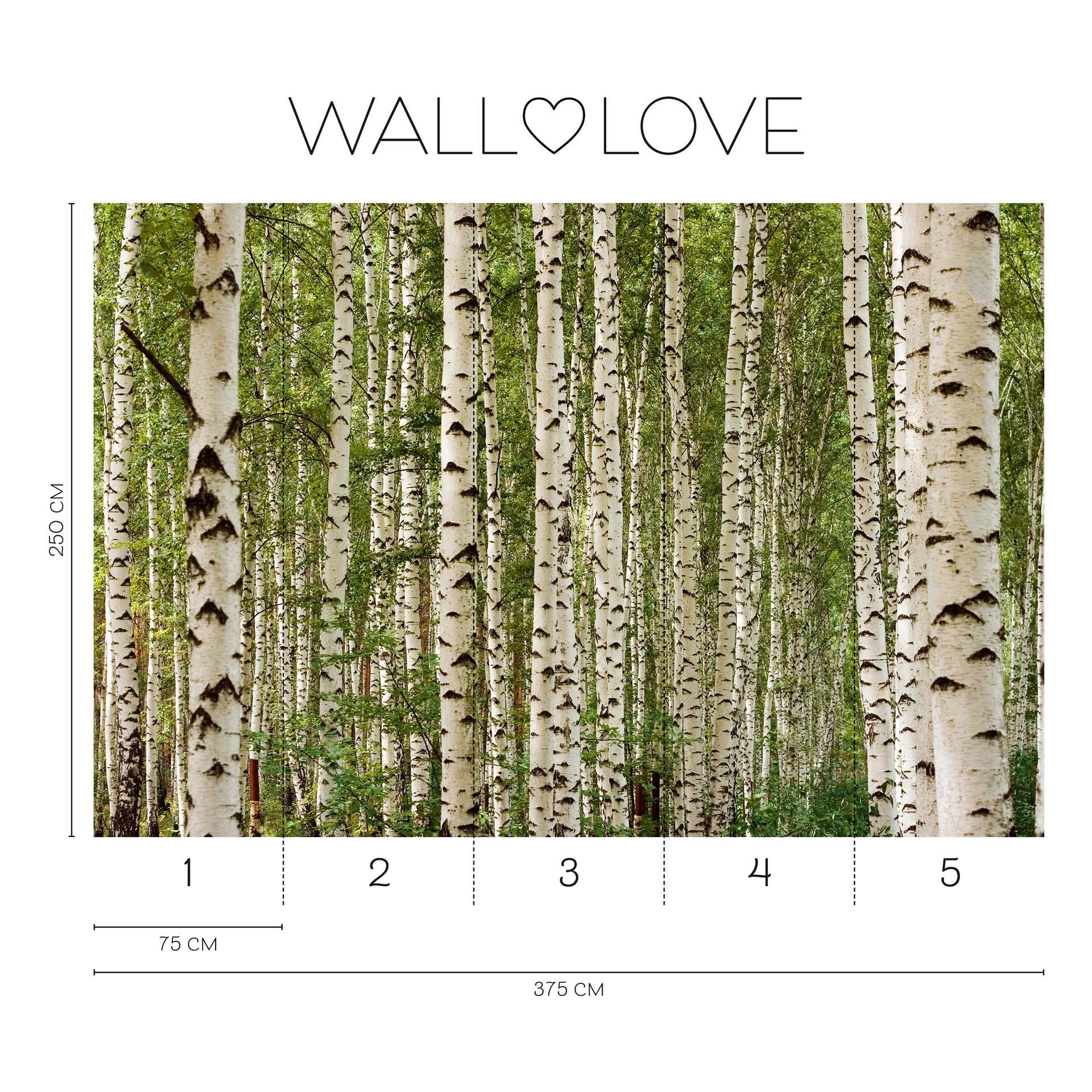 Fotobehang natuur groen wit - Vliesbehang 3,75 m x 2,50 m bosmotief