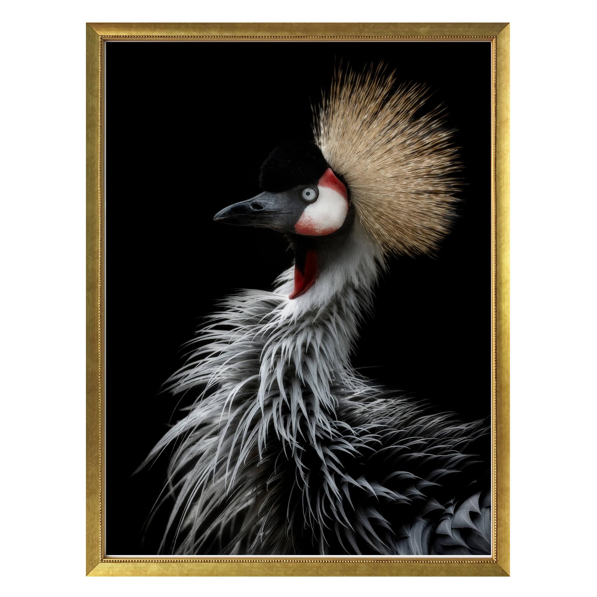 Póster Itoyama - La Grulla