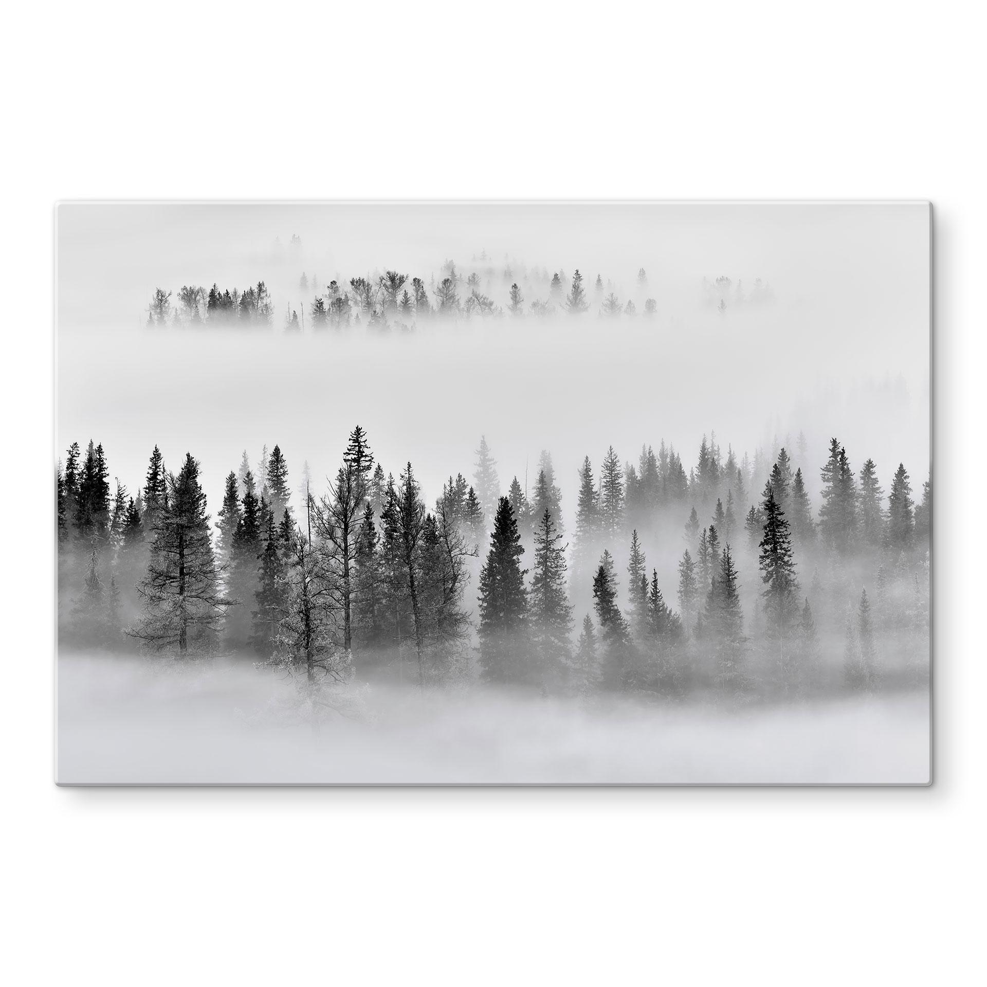 Stænkplade Xu - Foggy Forest