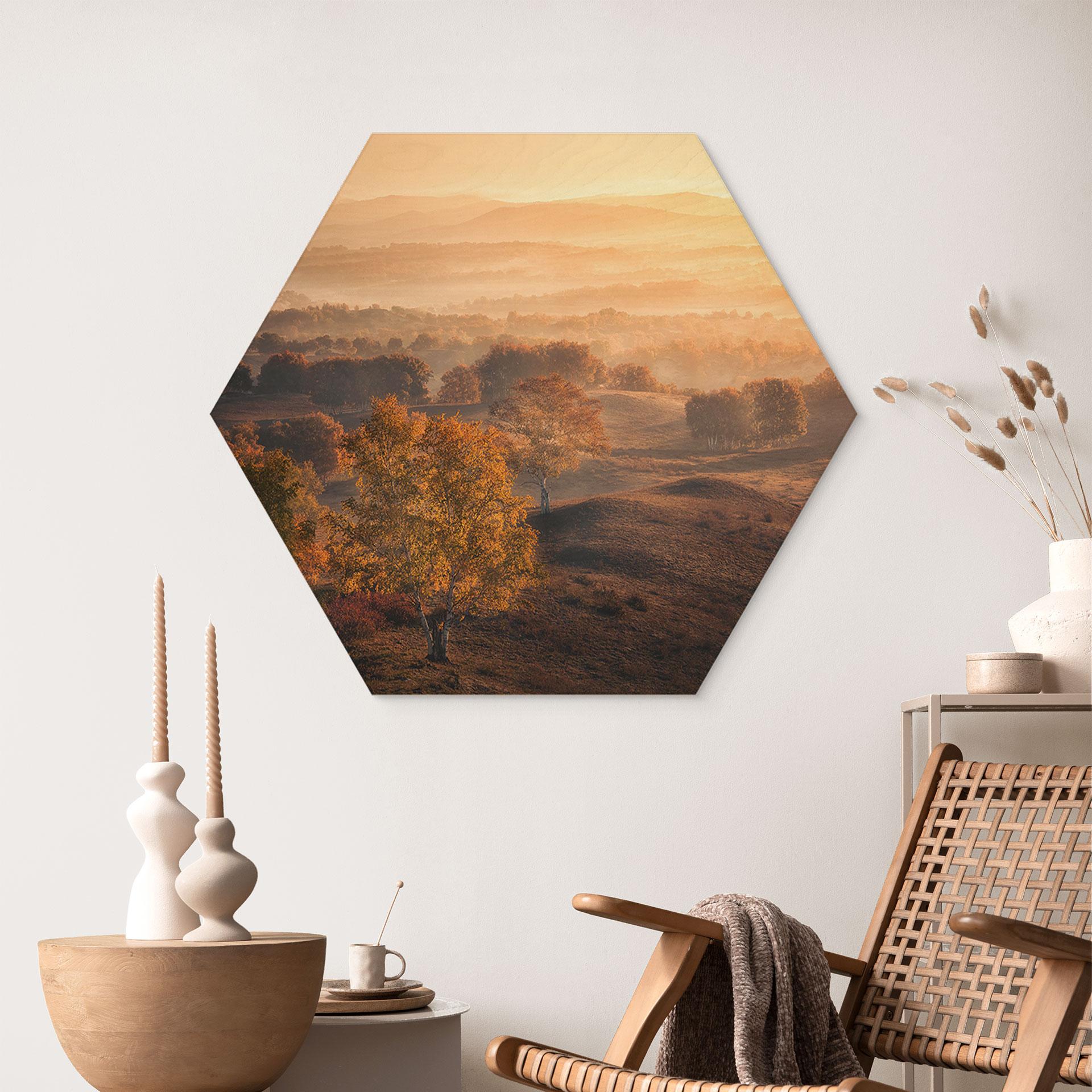 Sekskantet billede af træ birketræer i den gyldne morgendug - Cui