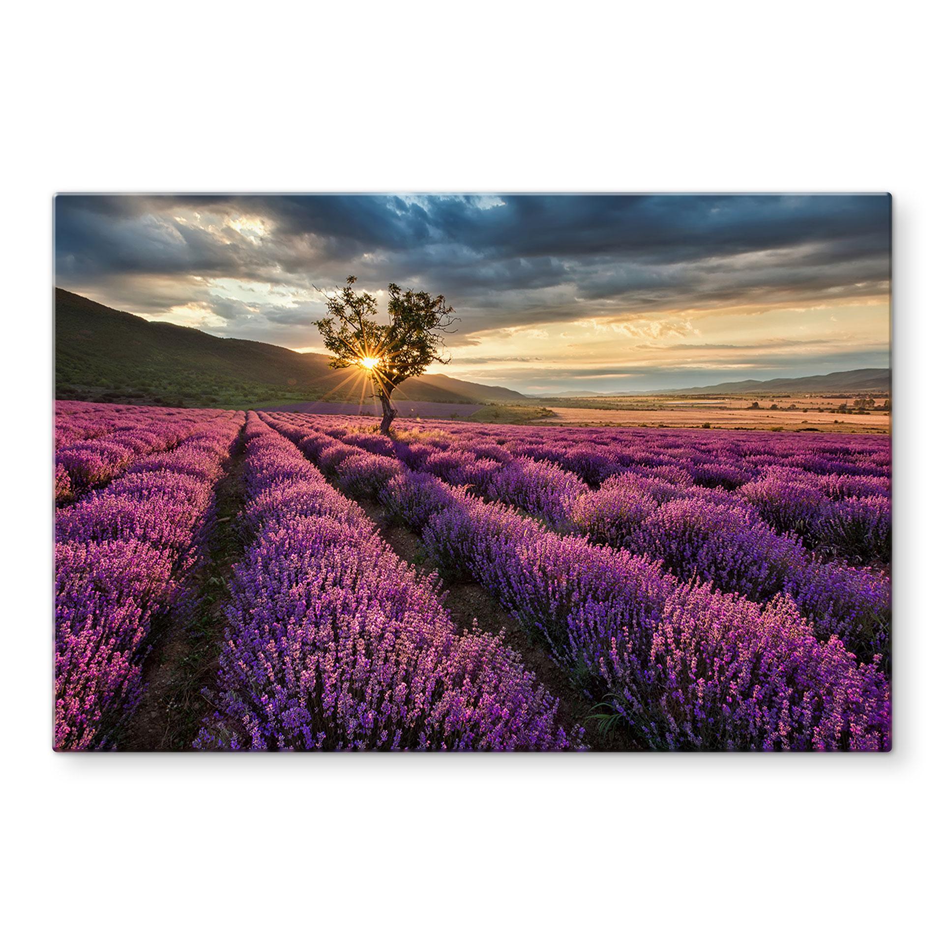 Lavendel i Provence  - stænkplade
