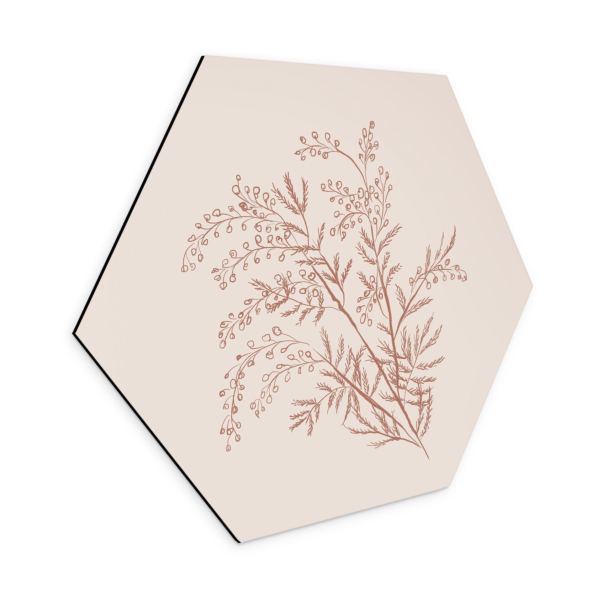 Sekskantet billede Gren af akacie i mokkafarver - Anis-illustration - Aluminium dibond