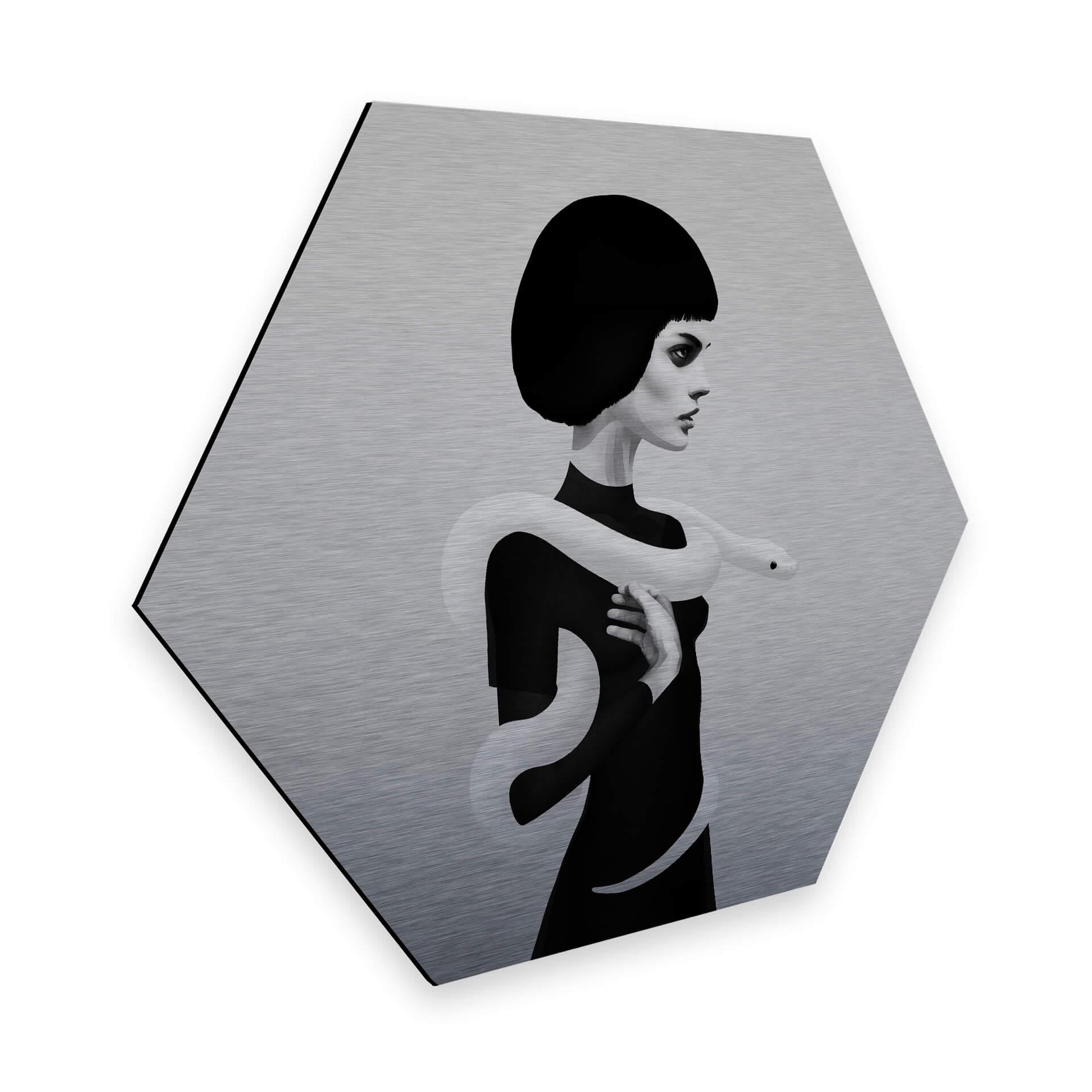 Hexagon Alu-Dibond Zilvereffect - Ireland - Only Skin