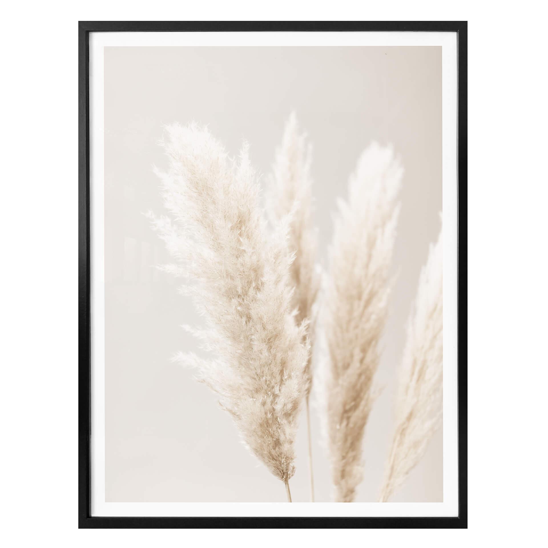 Plakat - 1X Studio - Pampas