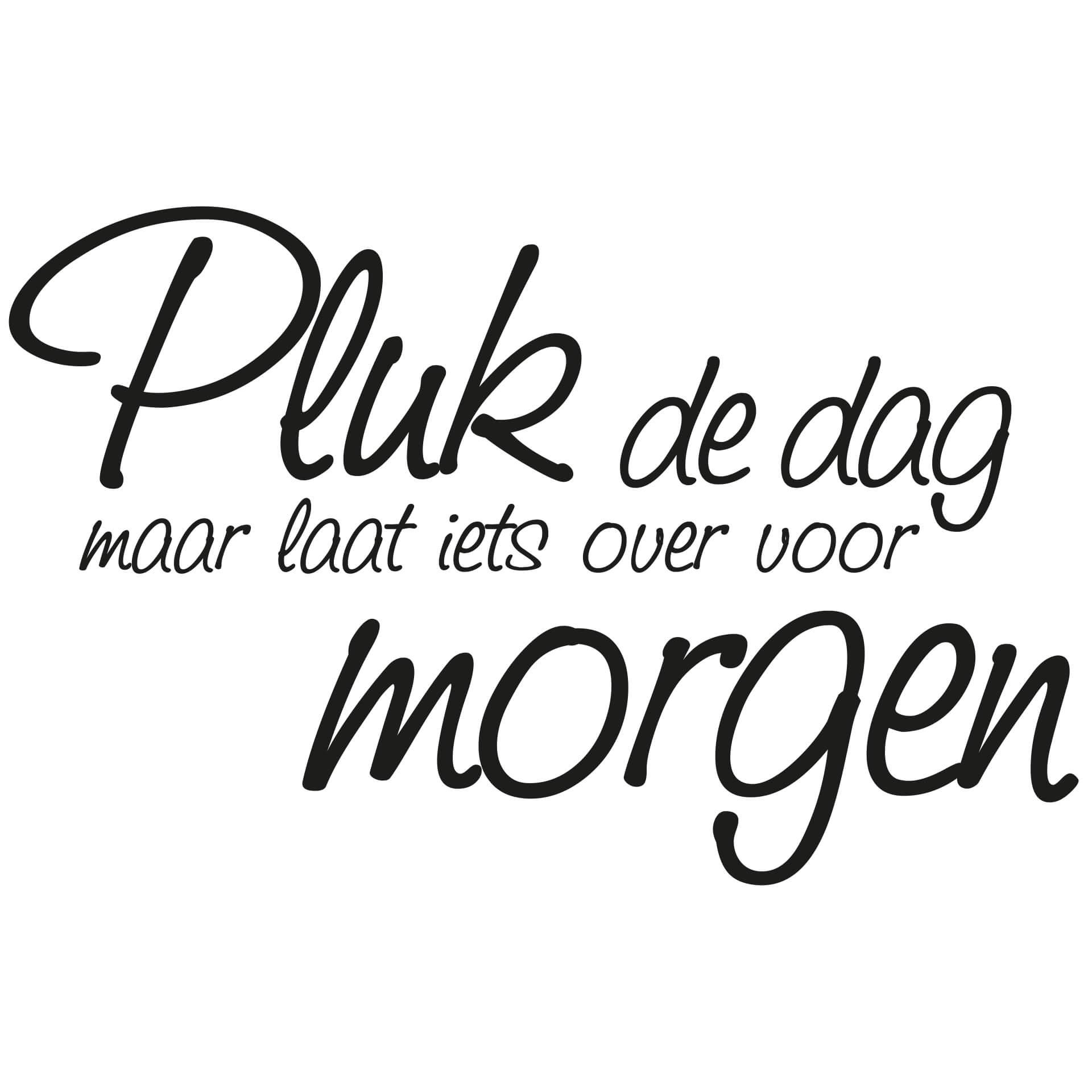 Wandtattoo Pluk de dag...