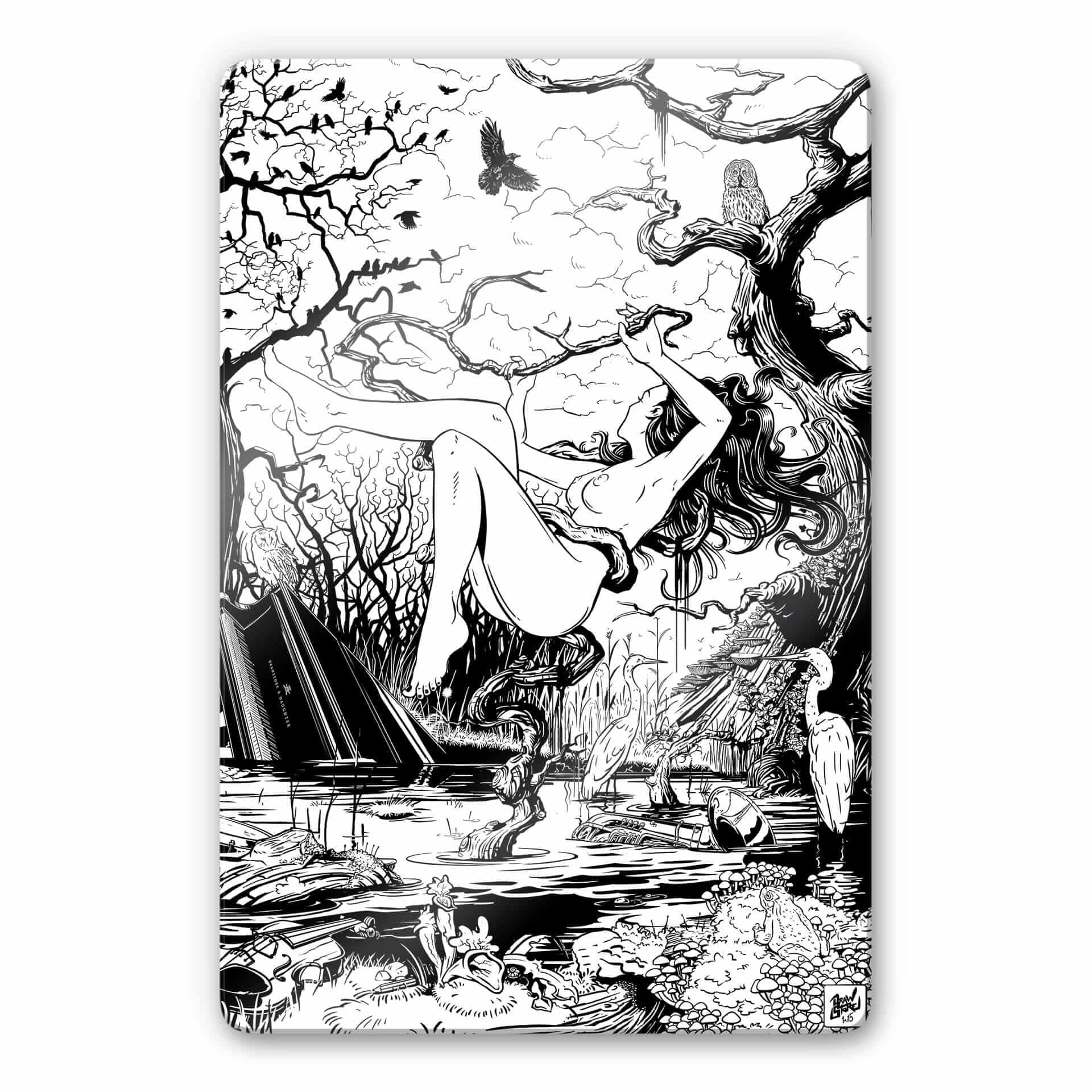 Glasschilderij Drawstore - In the Swamp