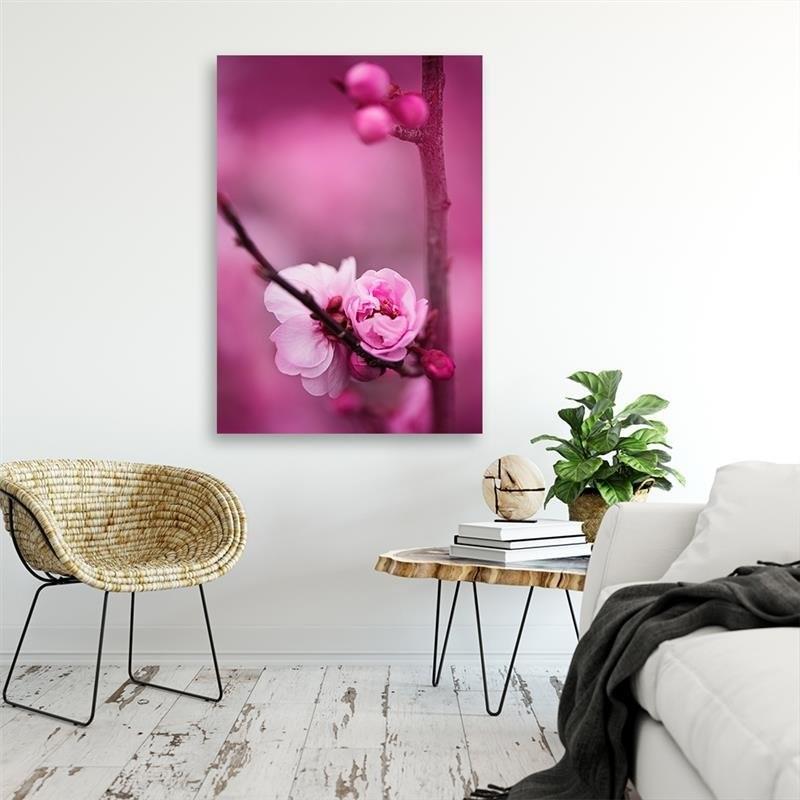Canvasbillede, Lyserøde blomstrende planter