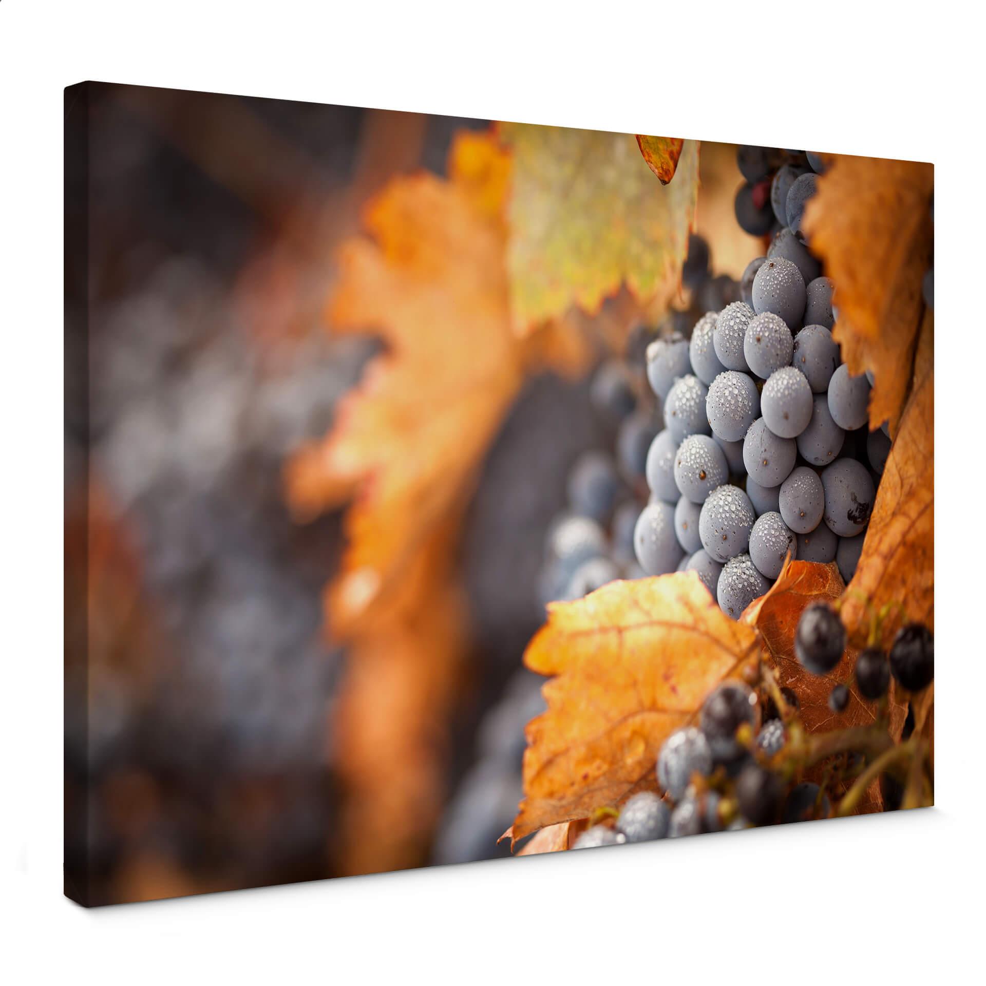 Lienzo vino en otoño