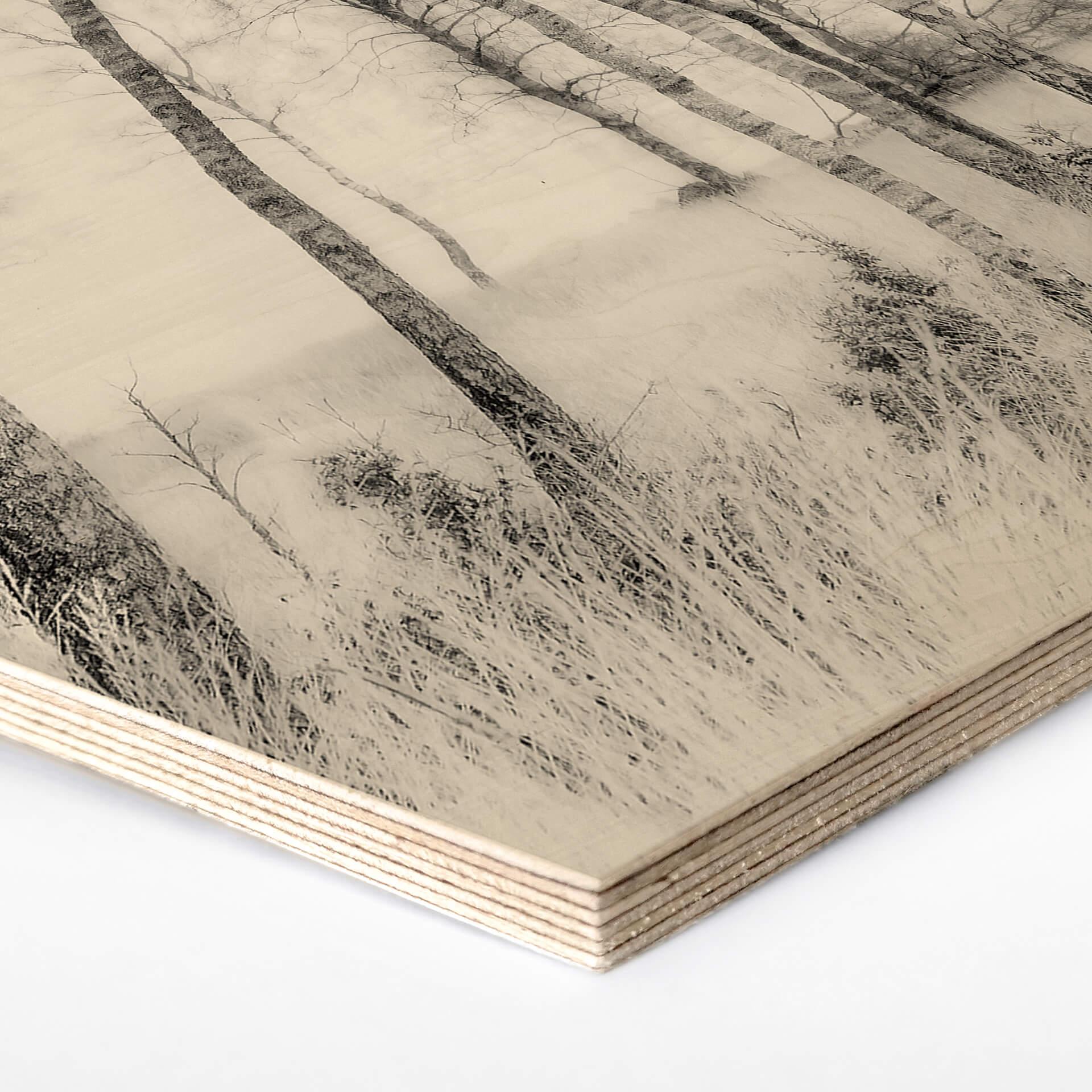 Esagoni in legno Talen - Betulle