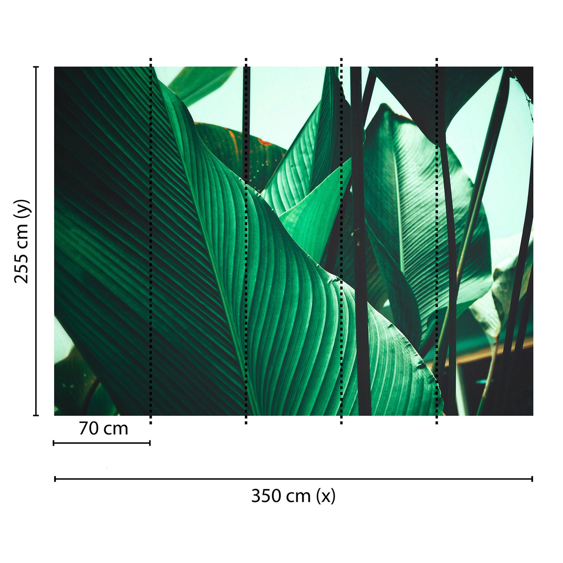 Livingwalls Fotobehang Designwalls Leaves