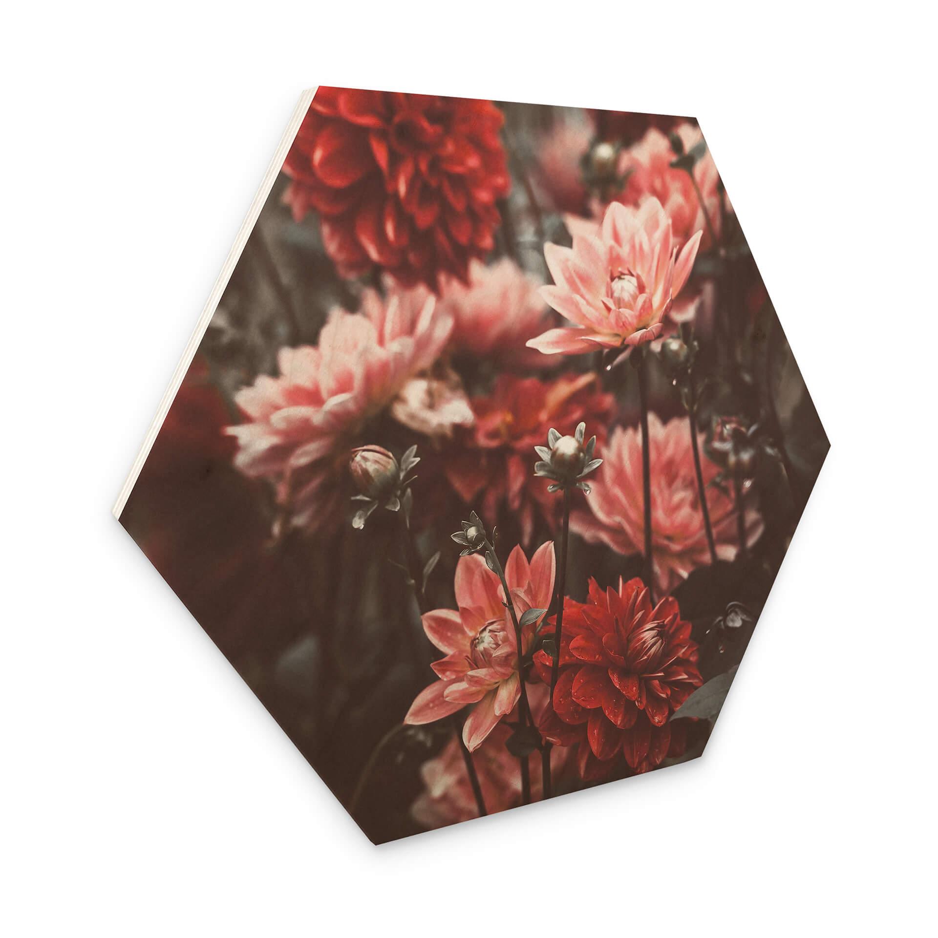 Hexagone - Bois Annie - Fleurs d'été