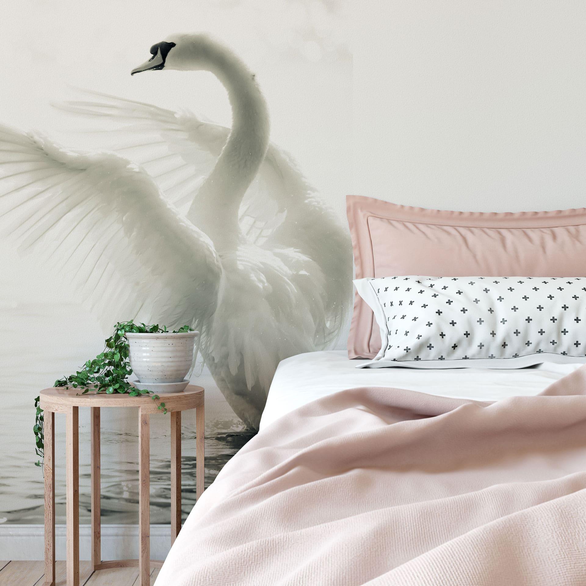 Fototapet - Elegant Svane