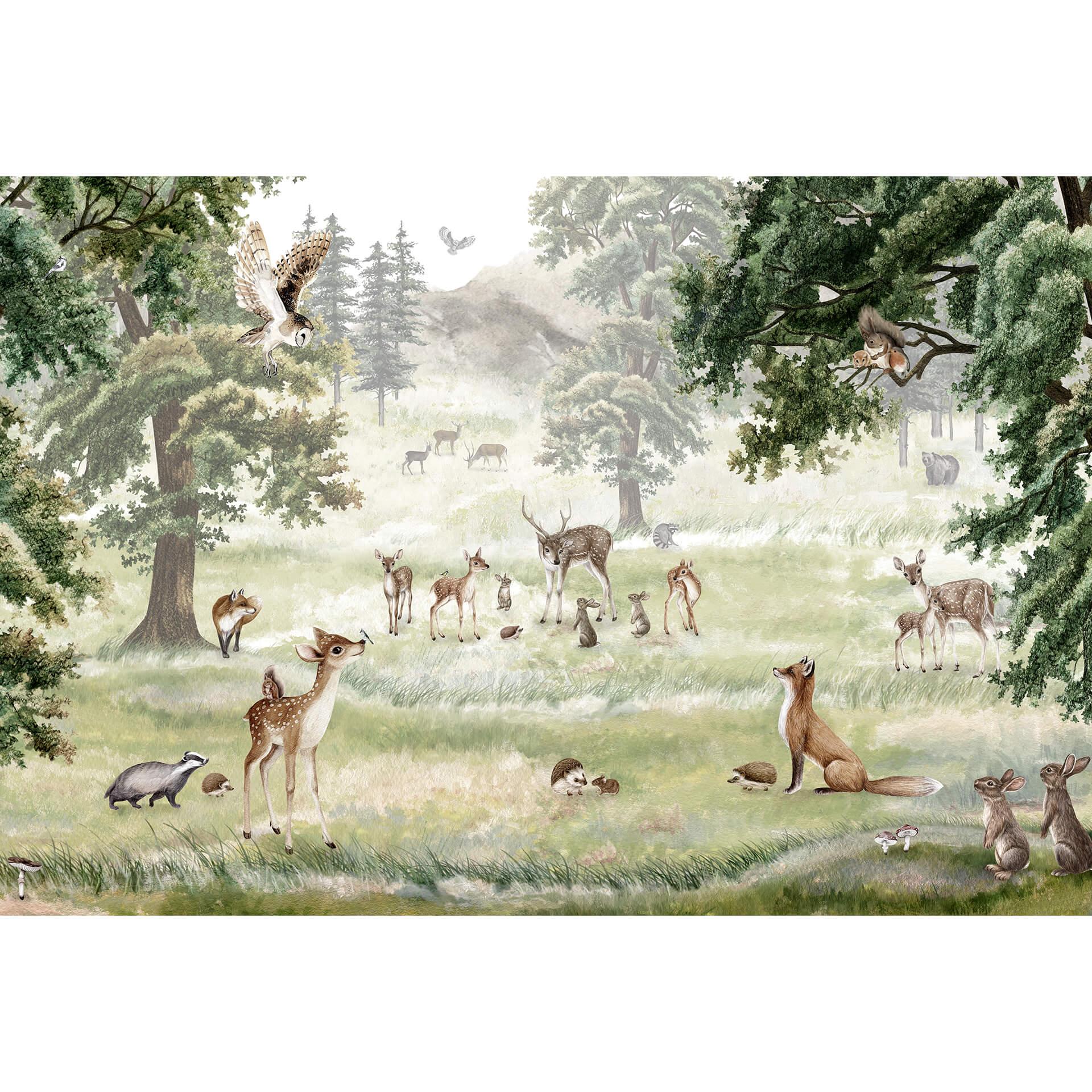 Fotobehang Kikki Belle - Forest Fun