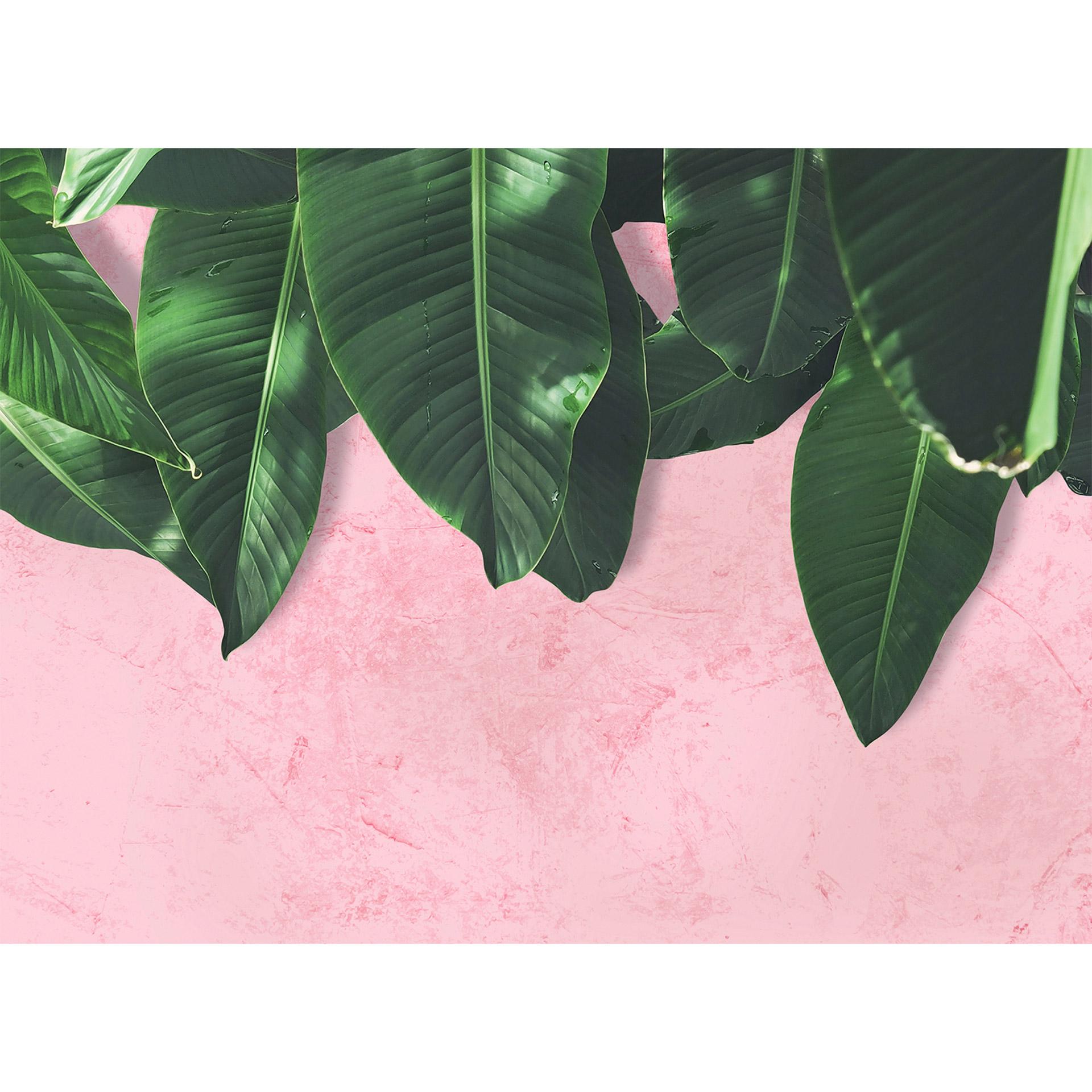 Livingwalls Fotobehang Designwalls Leaves