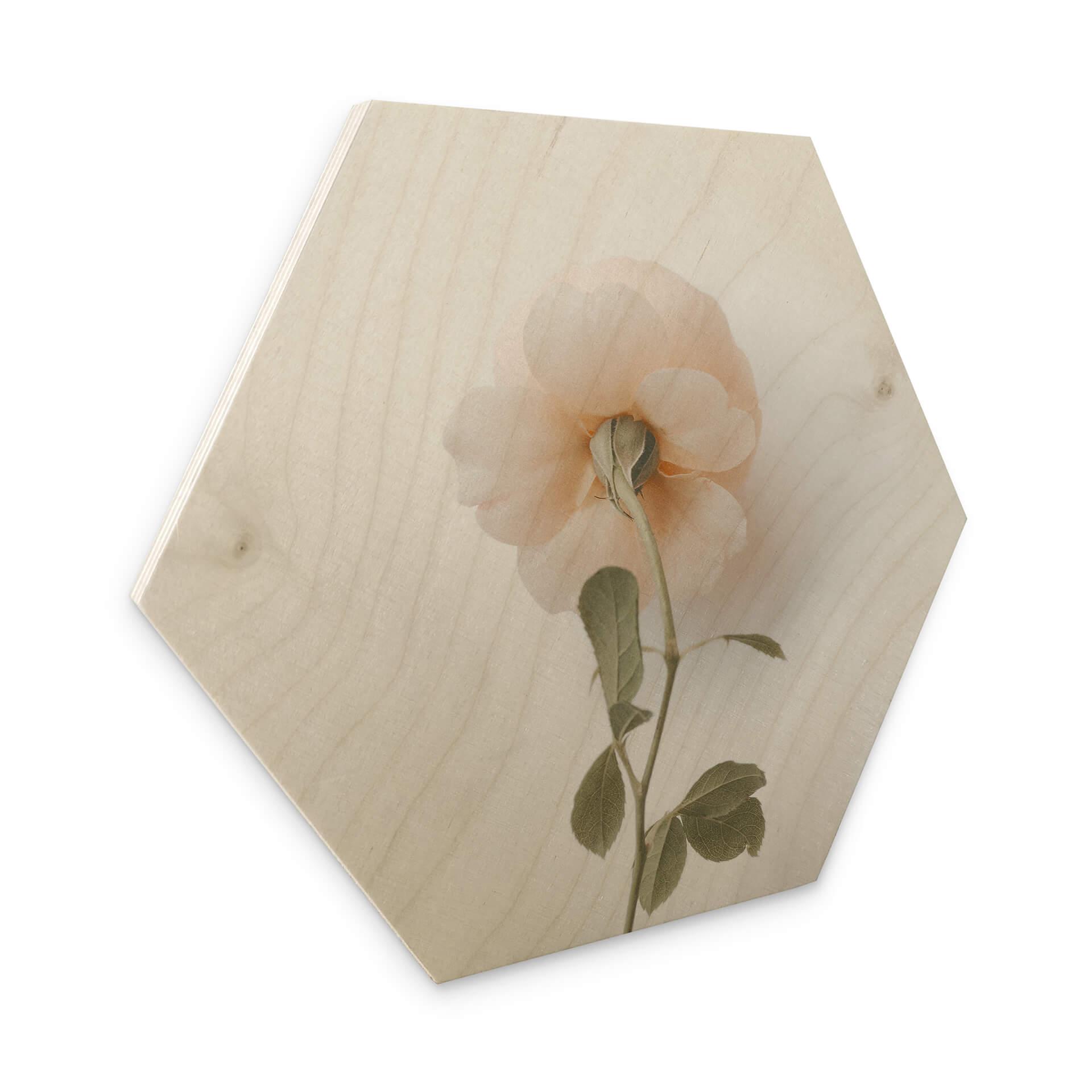 Hexagone - Bois Annie - Les roses