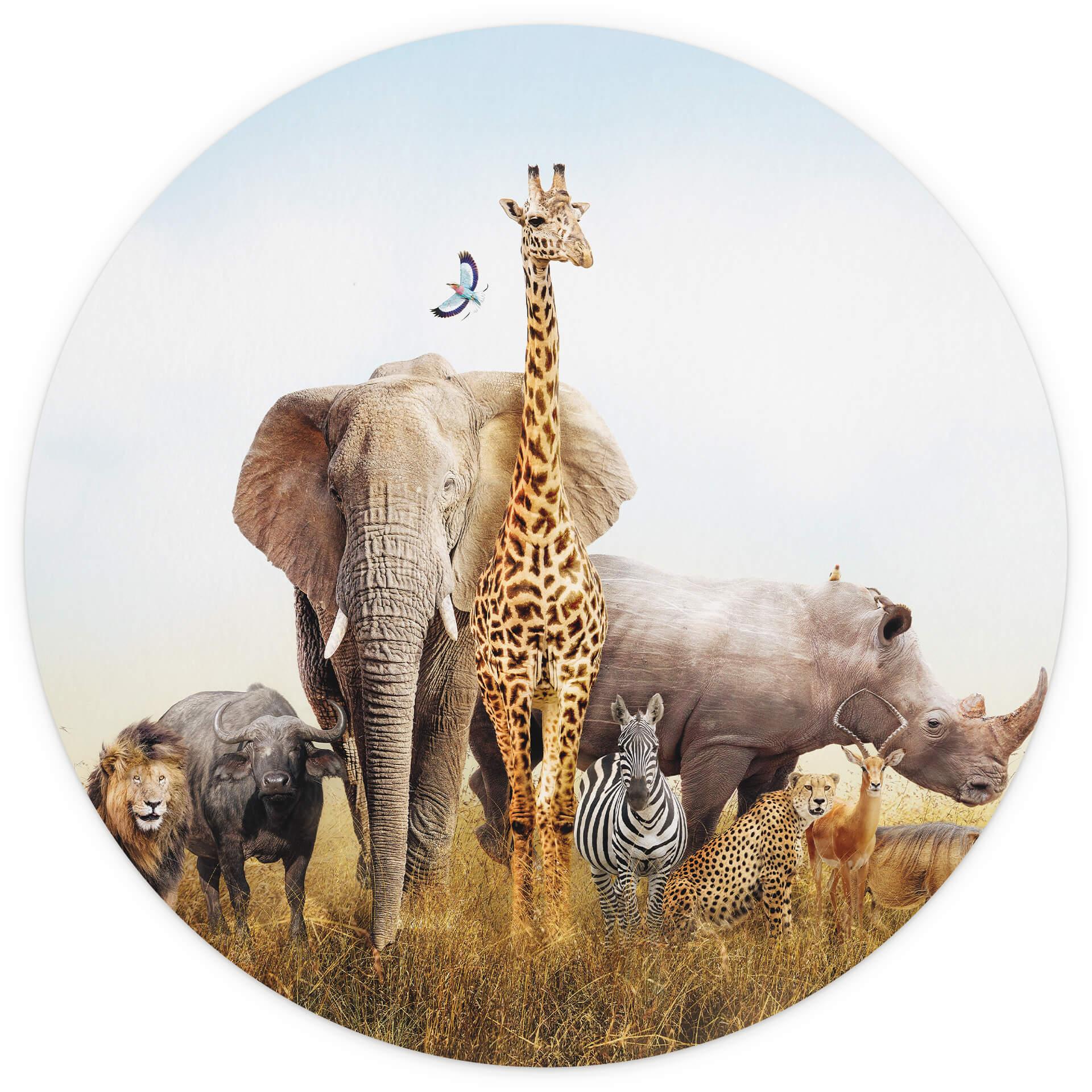 Behangcirkel Animals in Africa - vliesbehang/zelfklevend vliesbehang