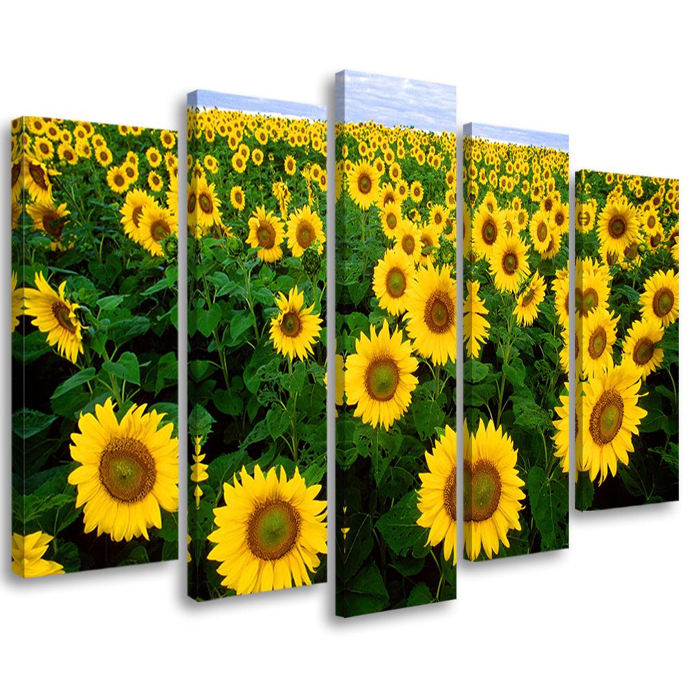Lærredstryk 5 styk, Sunflowers Meadow