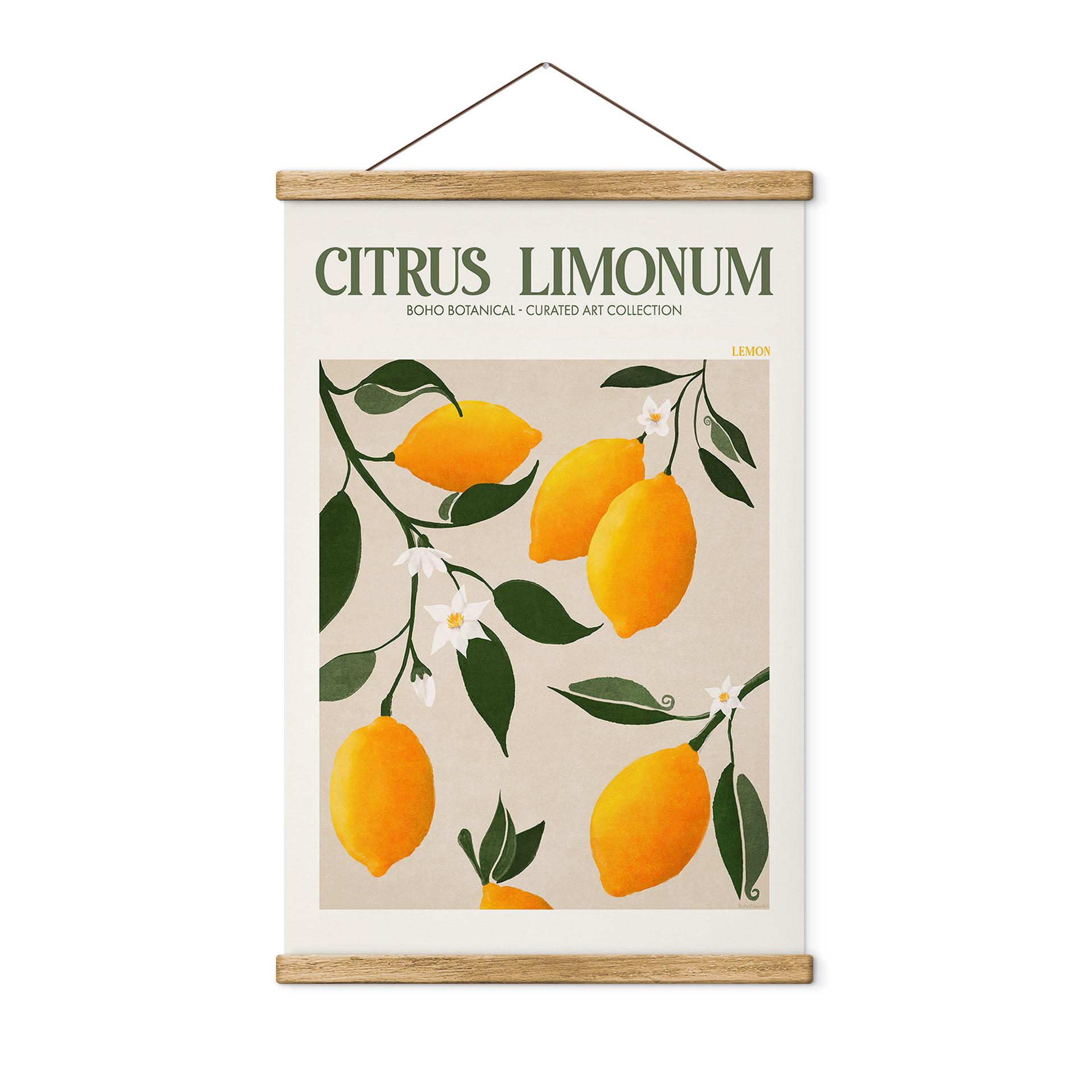 Tekstil plakat Frugt - Boho citrontræ - Citrus Limonum - Tunaboylu