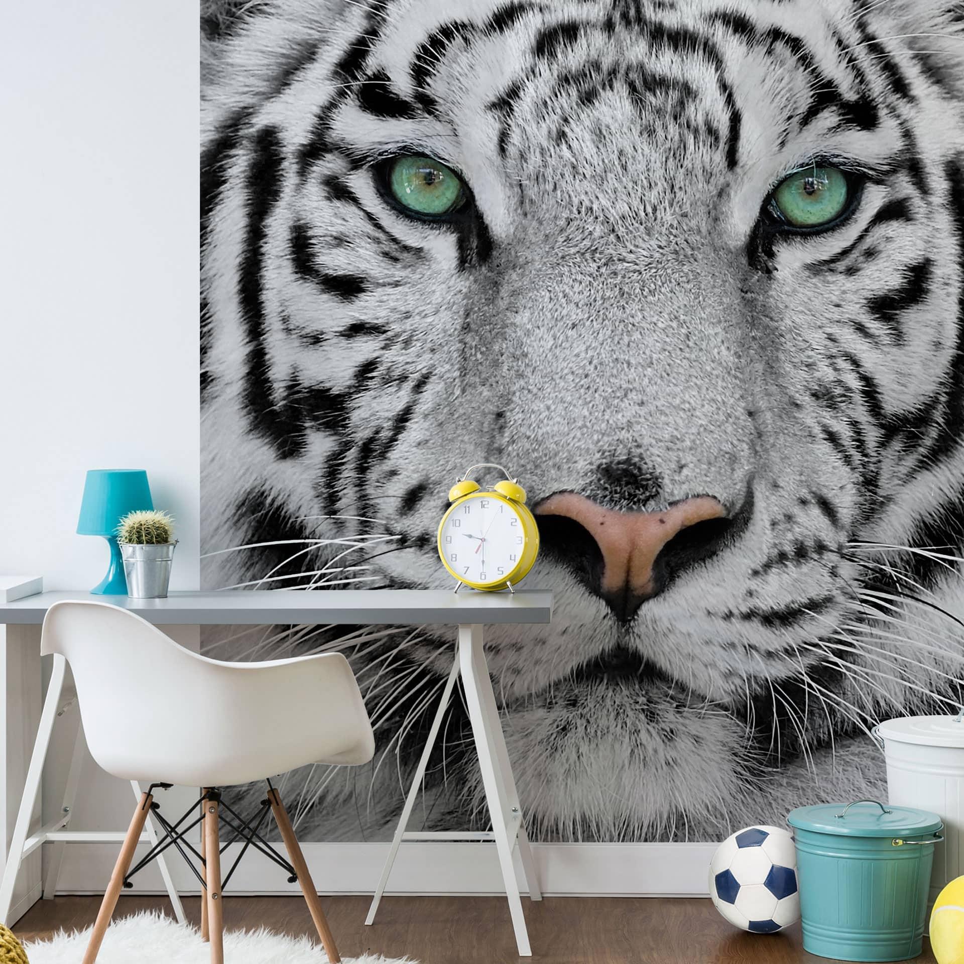 Fototapet Gorgeous Sumatran Tiger - 240x260 cm