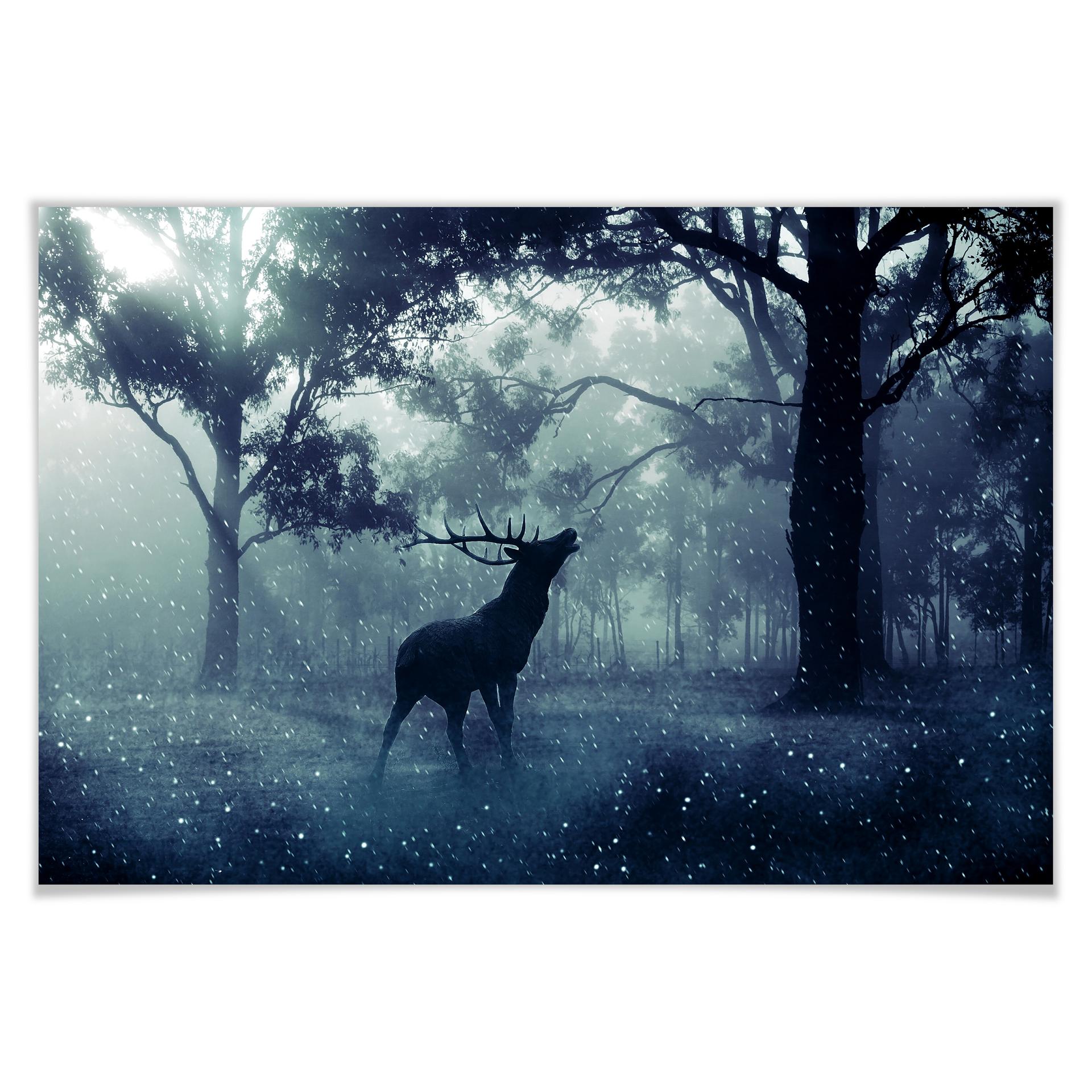 Poster Hert in het Bos