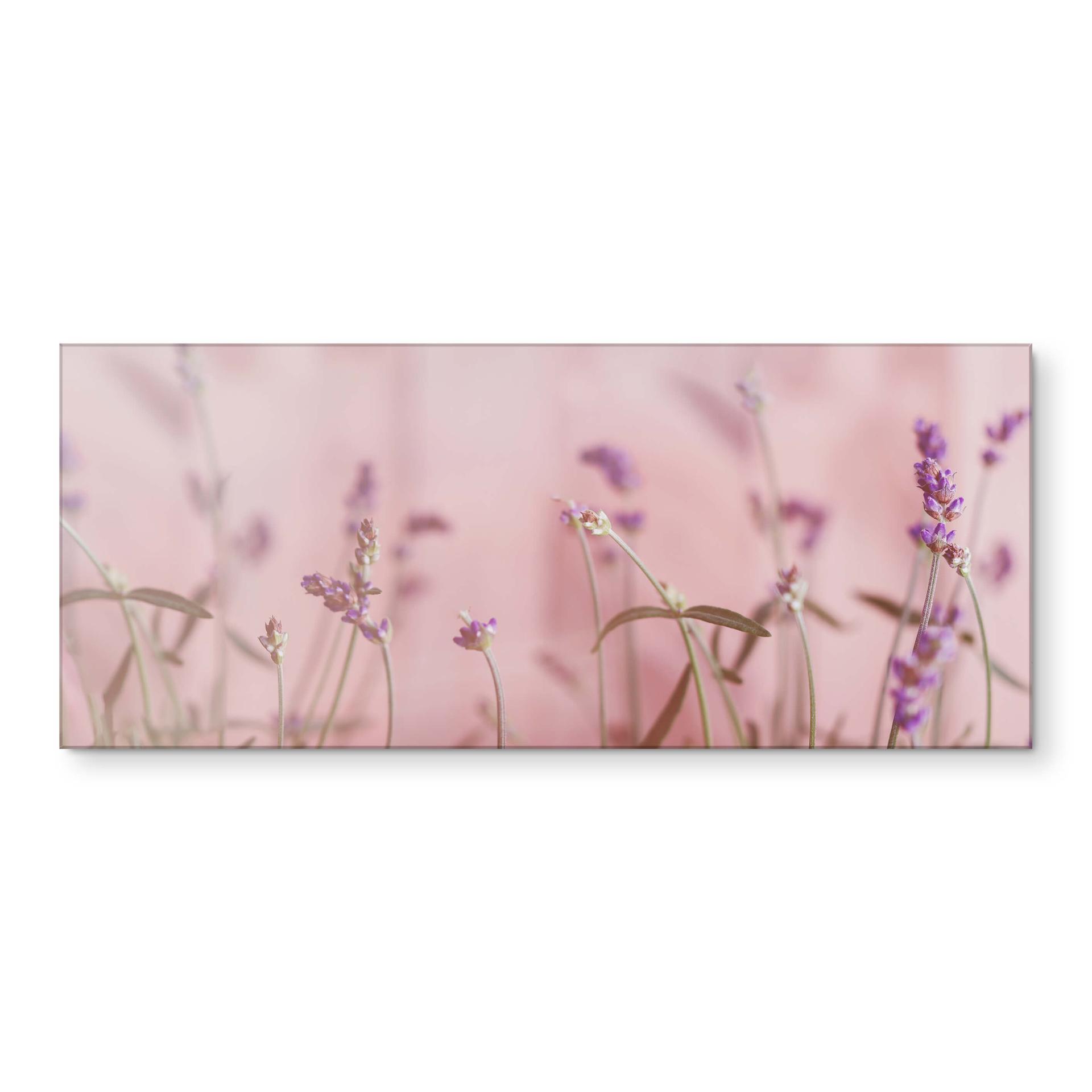 Keukenachterwand Delicate Lavender