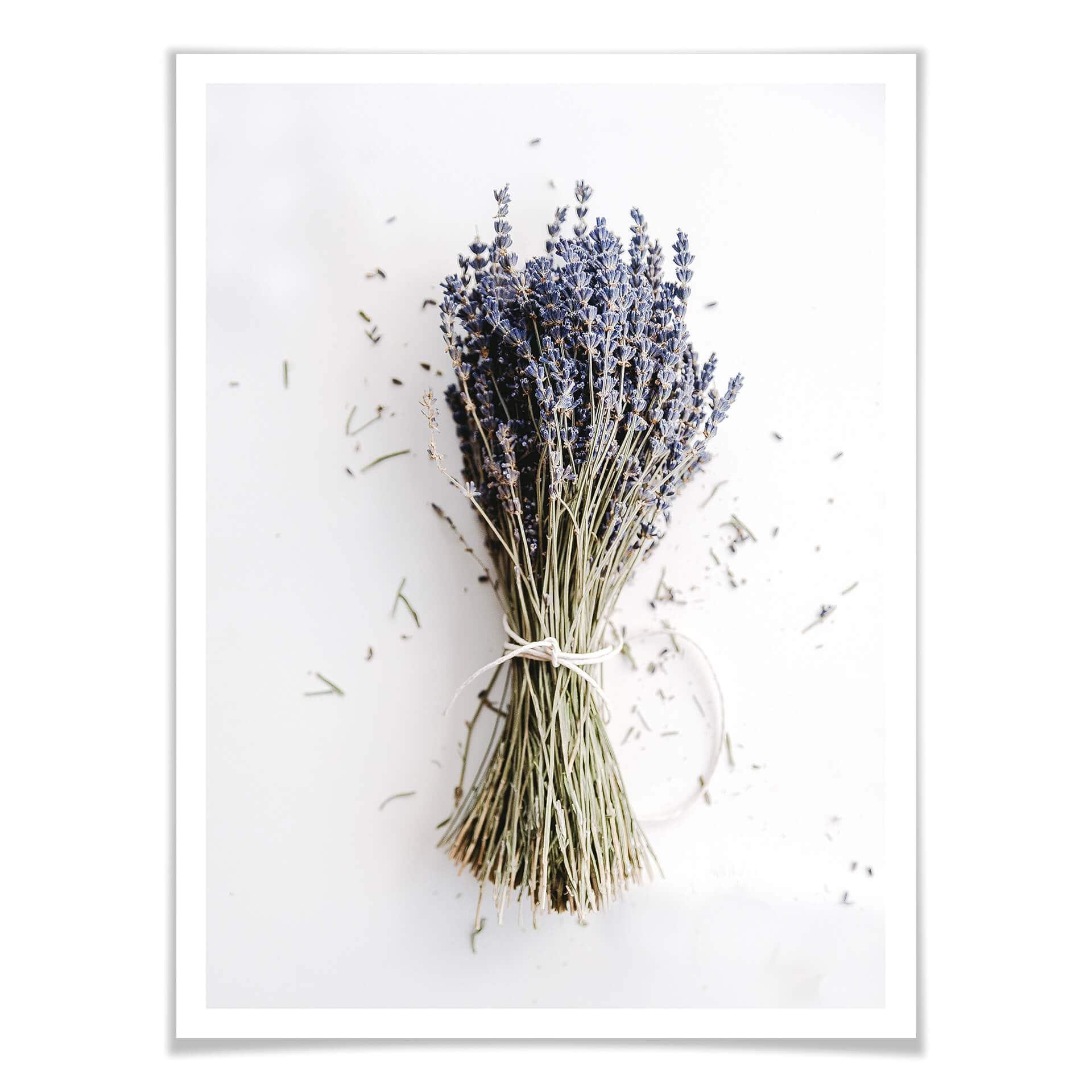Póster El manojo de lavanda