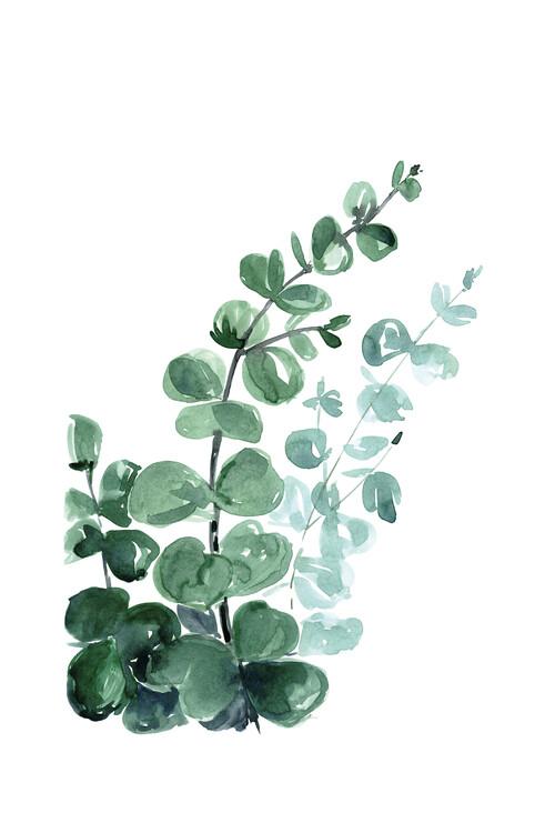 Plakat Blursbyai - Watercolour eucalyptus, plakat (40 x 60 cm)