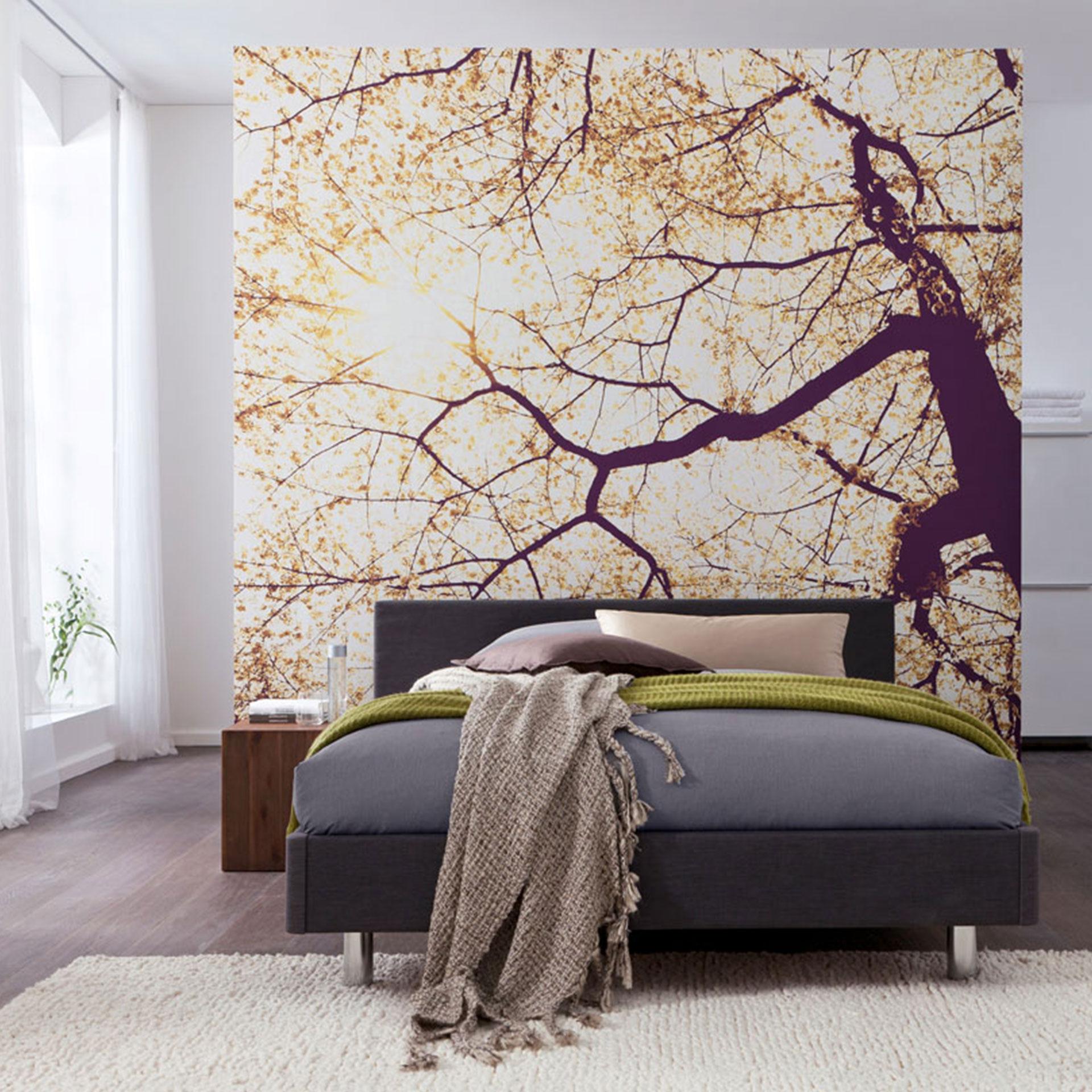 Fotobehang Vliesbehang Sunshine