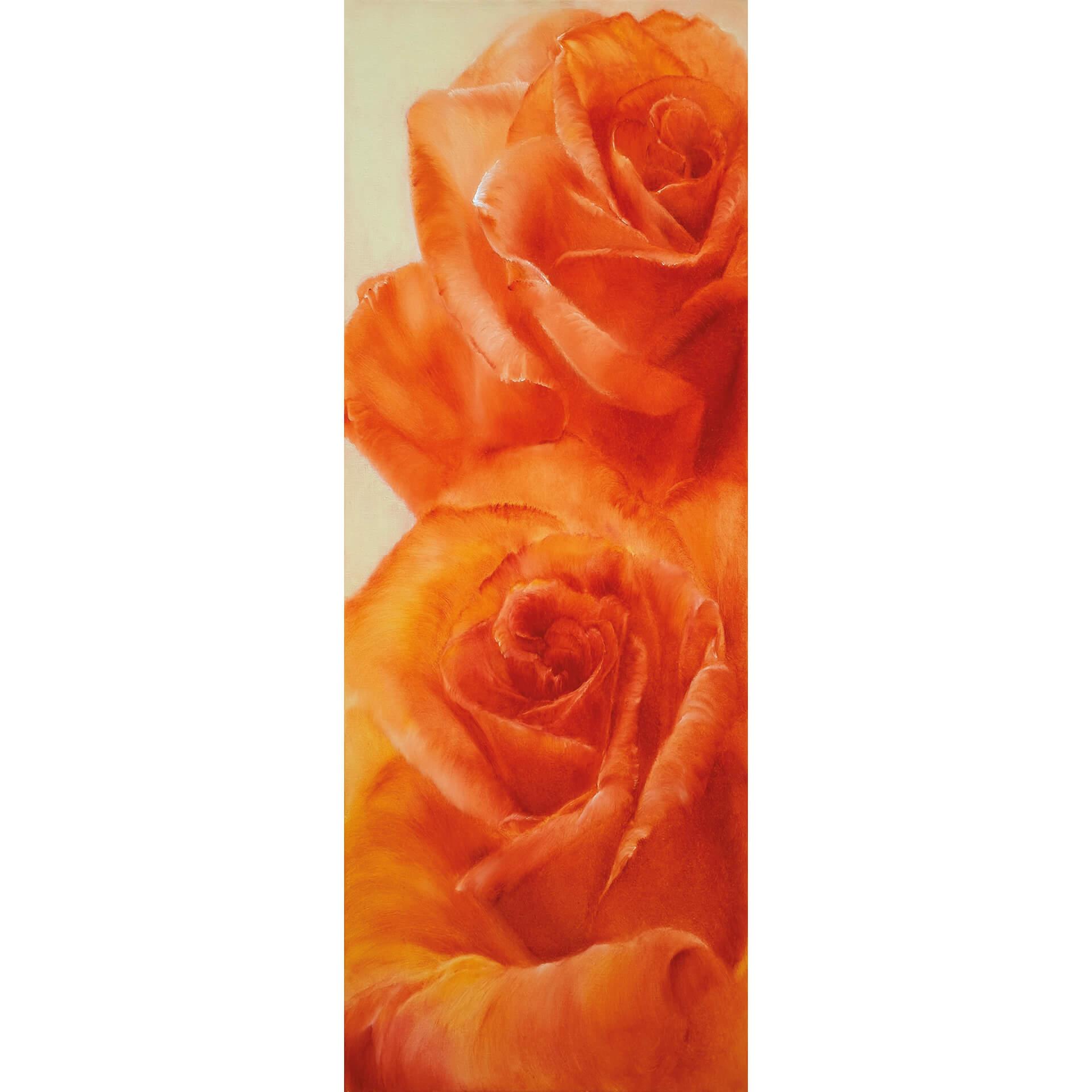 Fotobehang Schmucker p Rozen