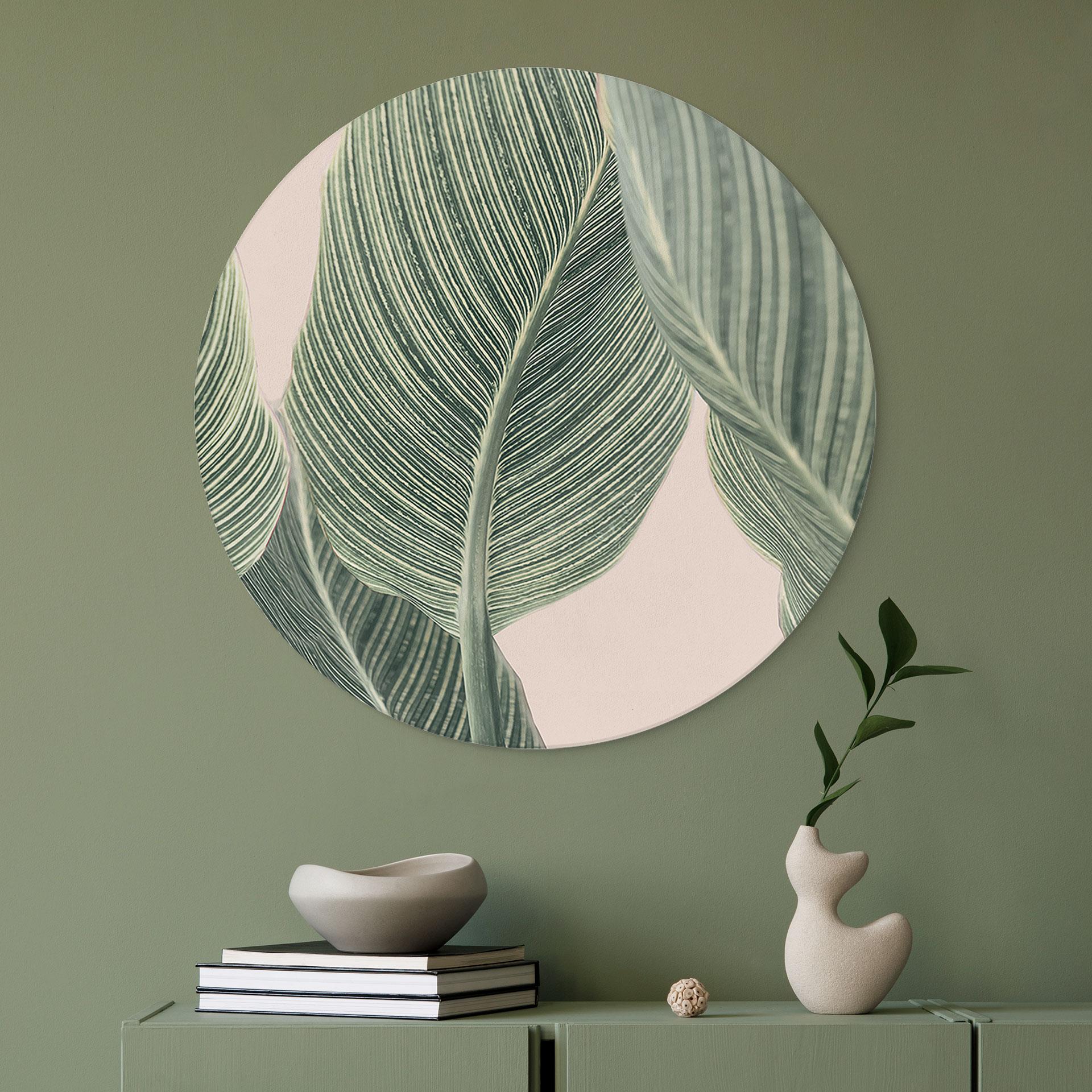 Alu-Dibond Calathea Pflanze - Sisi & Seb - Rund
