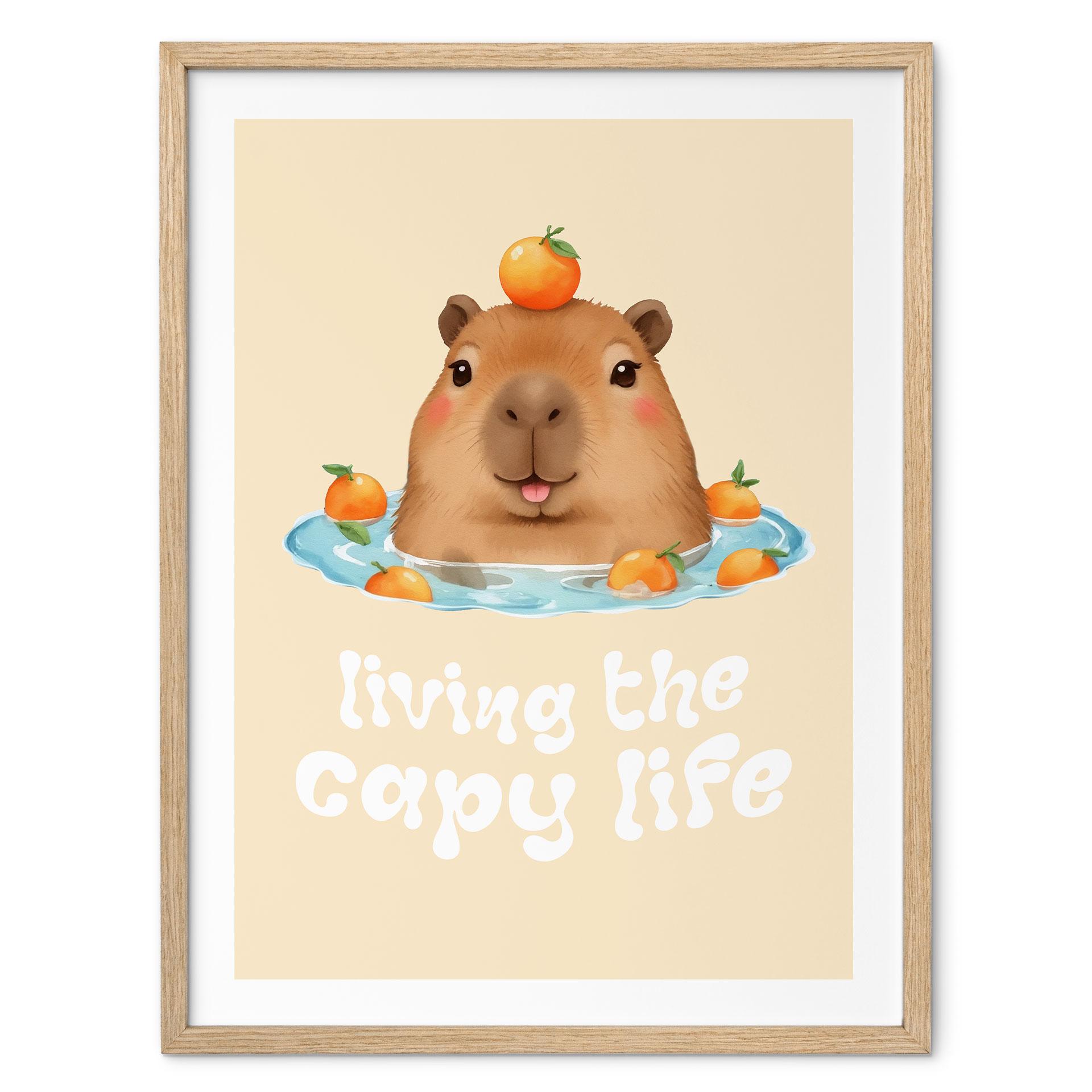 Plakat med ordsprog Sjov Capybara - Capy Life Saying